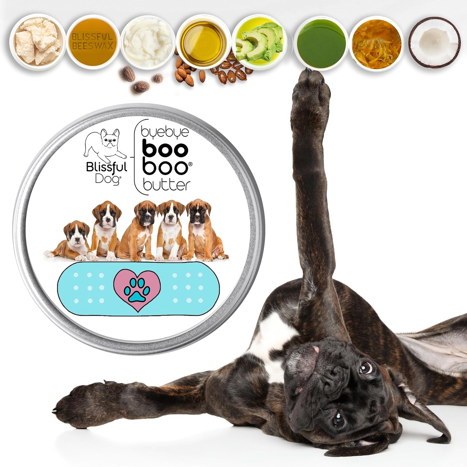 The Blissful Dog 2 oz TIN Boxer Booboo Butter - Pet Explorer