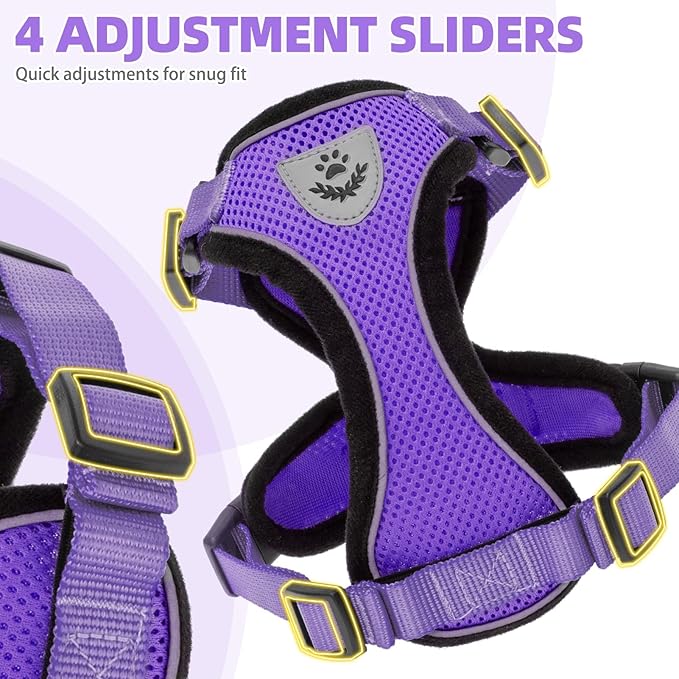 PUPTECK Cat Harness and Leash Set Escape Proof Reflective Cat Walking Harness Adjustable Soft Breathable Mesh Vest for Small Pets, Purple, L