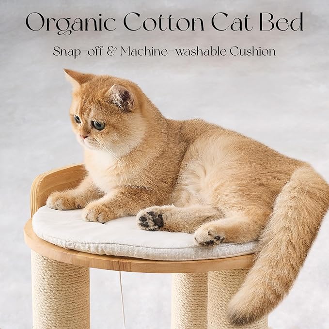 797Audio Modern Solid Wood Cat Tree Tower, 54" Tall Cat Tree with Scratching Posts, Capsule&Hammock, Luxury Natural Oak Wood Cat Tower, Aesthetic Multi-Level Cat Climbing Tree for Large Indoor Cats