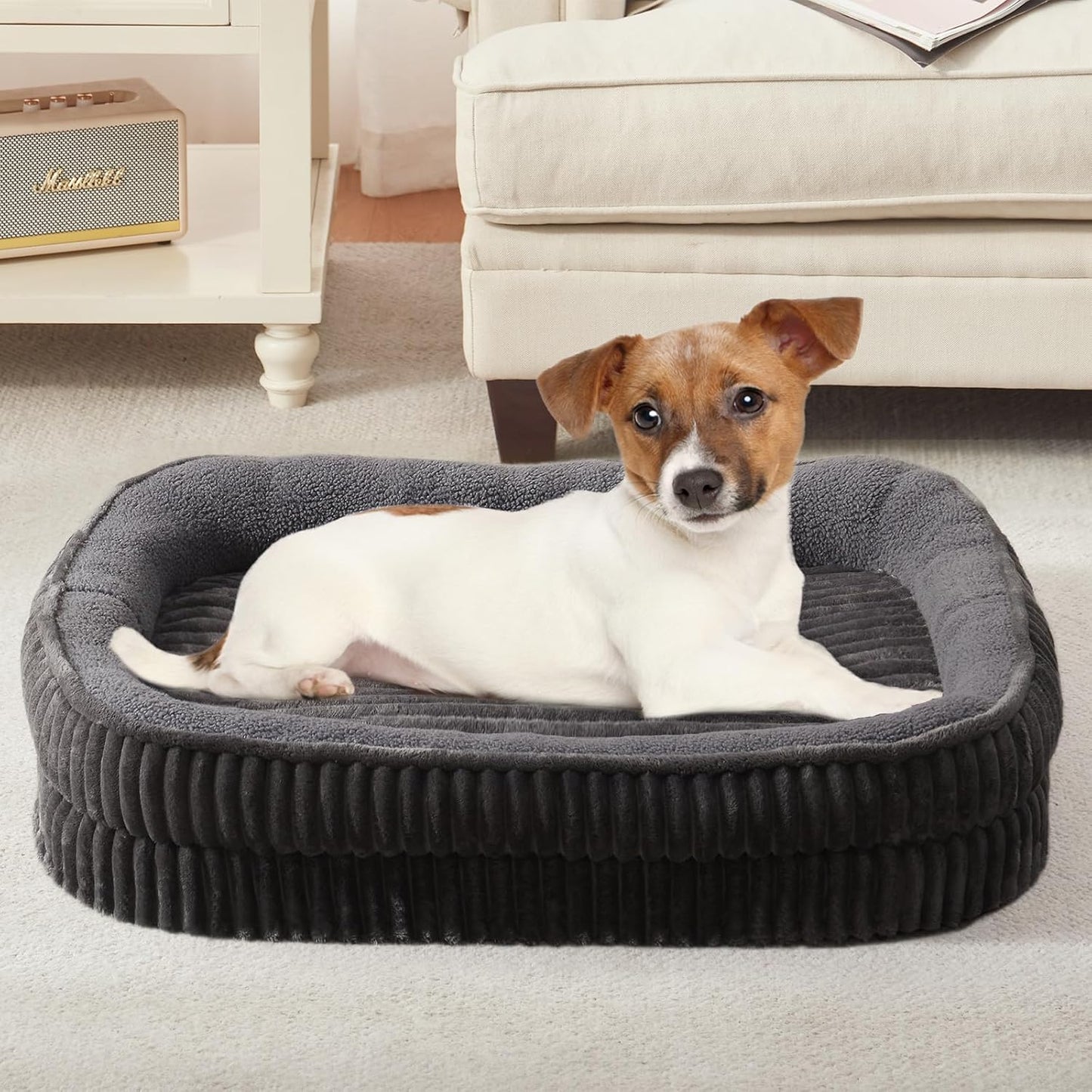 Orthopedic Dog Bed for Small Dogs Breeds, High Density Egg Crate Foam Dog Sofa Beds,Oval Kennel Bed, Pet Couch Bed with Four Sided Bolster, Removable Washable Cover& Non-Slip Bottom - Pet Explorer