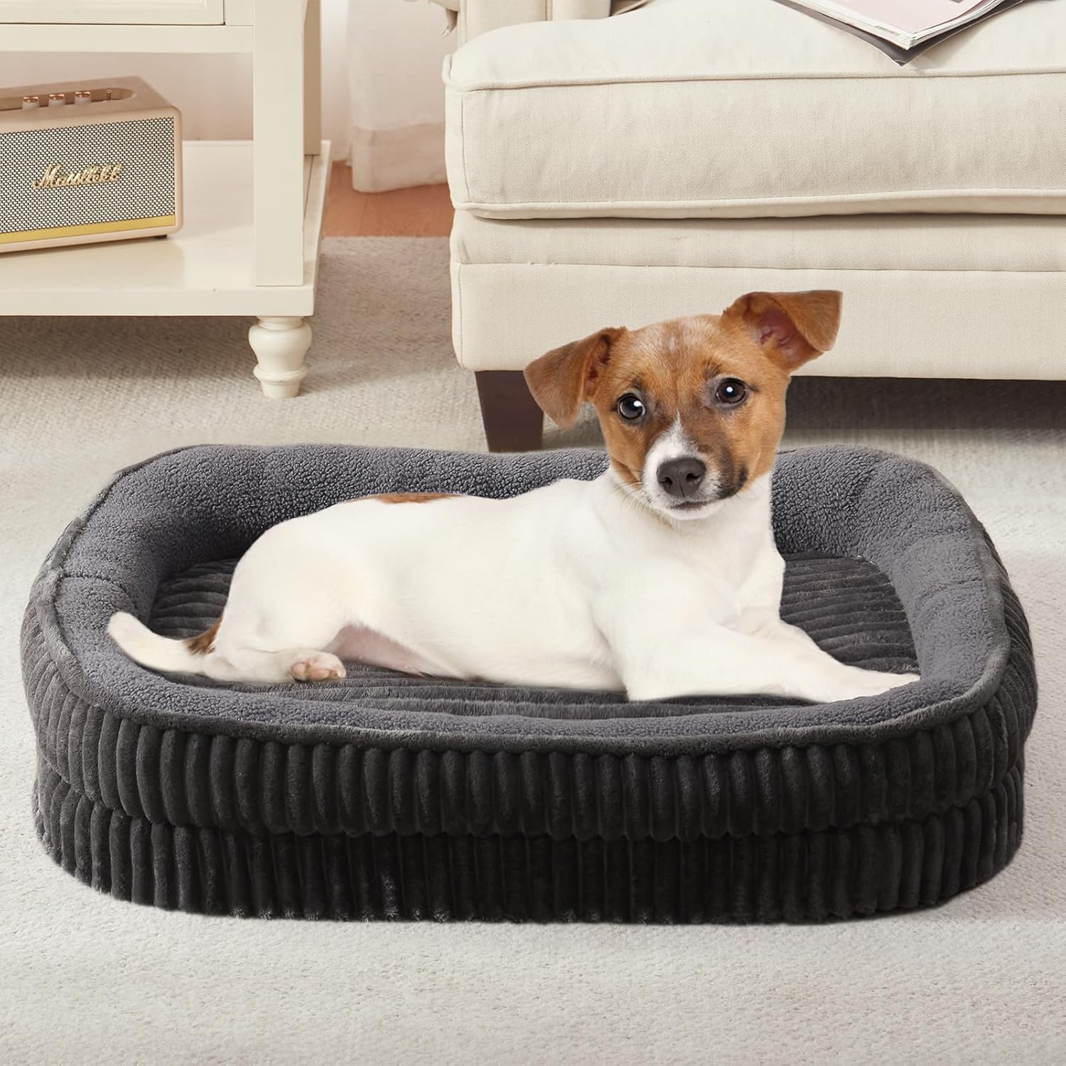 Orthopedic Dog Bed for Small Dogs Breeds, High Density Egg Crate Foam Dog Sofa Beds,Oval Kennel Bed, Pet Couch Bed with Four Sided Bolster, Removable Washable Cover& Non-Slip Bottom - Pet Explorer