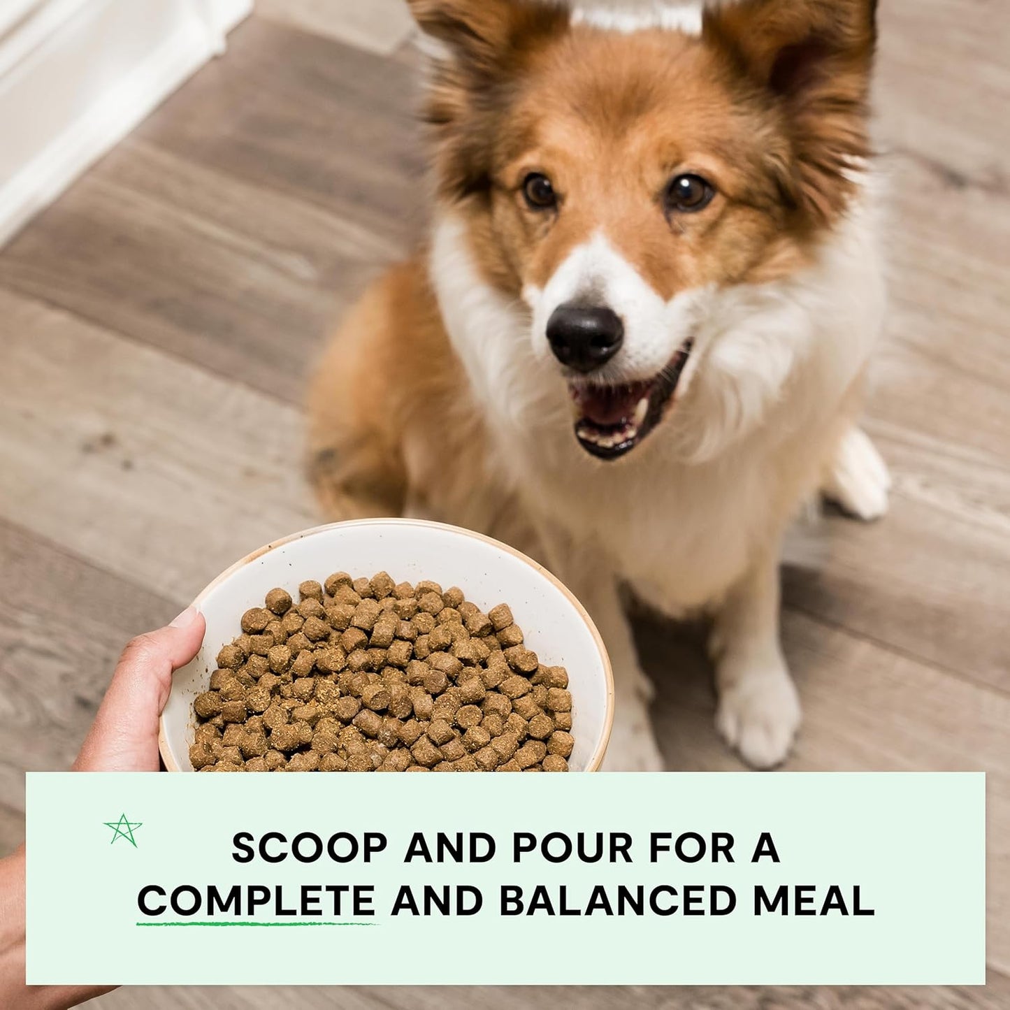 Open Farm, Grain-Free Dry Dog Food, Complete & Balanced Kibble, Sustainably & Ethically Sourced Ingredients, Non-GMO Veggies & Superfoods to Support Overall Health, Pork Recipe, 4lb Bag