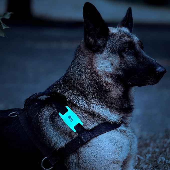 Case-Mate Airtag Dog Collar Holder - Water Resistant Airtag Holder Tag - Protective Case for Pet Collar Loop - Compatible with Cat/Dog Collars - Glow in The Dark