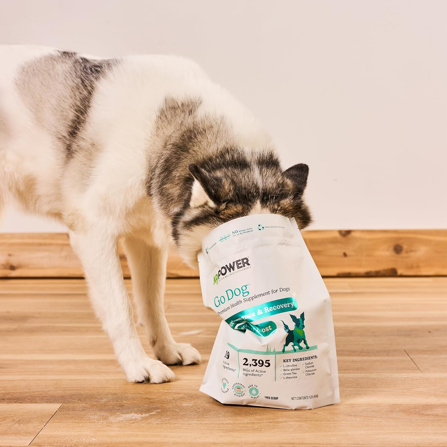 K9 Power Go Dog Hydration & Performance Drink Mix 1 lb - Active Dog Supplement for Muscle Function, Endurance, Recovery, with Electrolytes Support - Pet Explorer