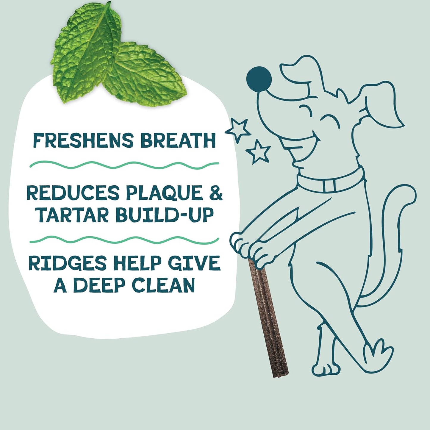 Shameless Pets Dental Treats for Dogs, Banana Bone-Anza (32 Sticks) - Supports Hip & Joint for Teeth Cleaning & Fresh Breath - Dog Bones Dental Chews Free from Grain, Corn & Soy