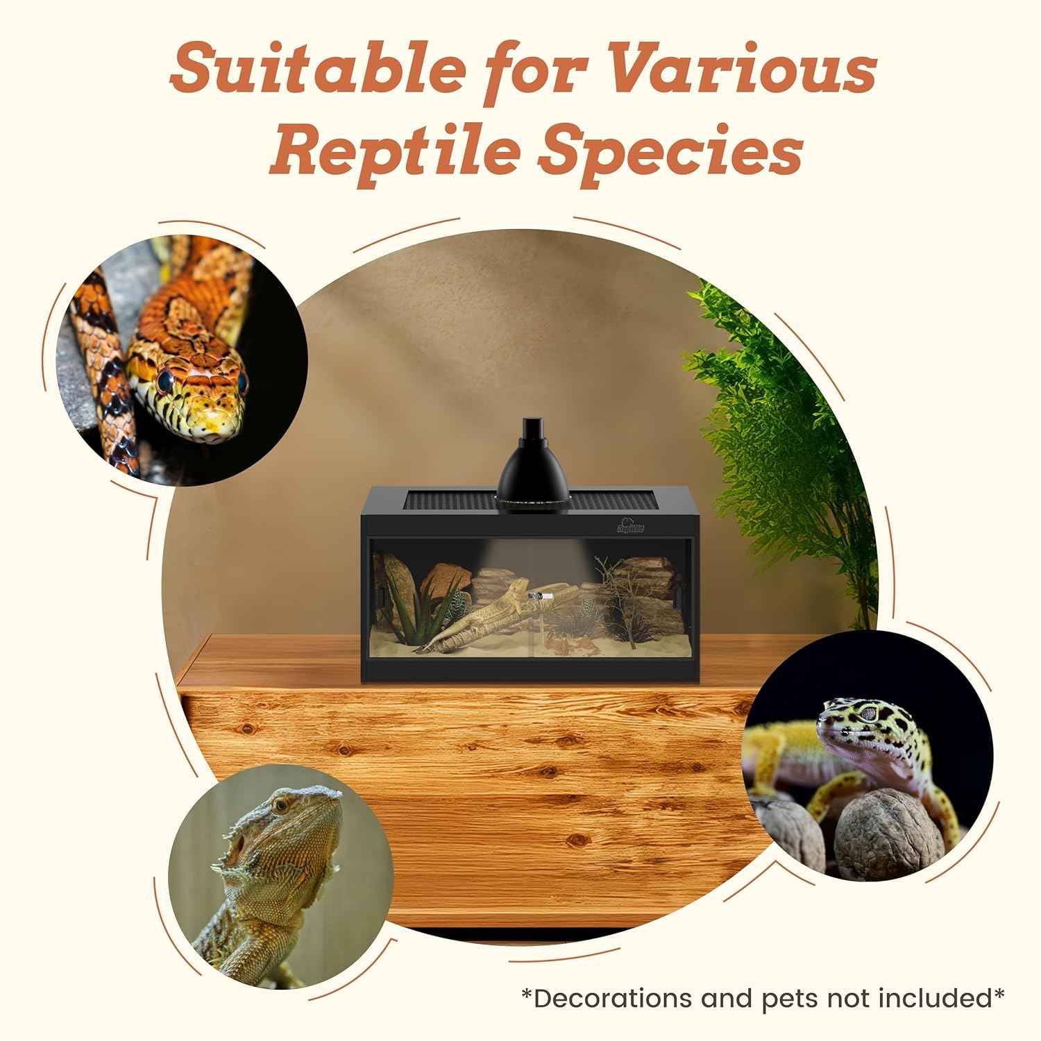 20 Gallon PVC Reptile Enclosure, RepWild 24"x18"x12" Terrarium/Tank with Heavy-Duty Screen Top, Glass Sliding Doors & Lock for Bearded Dragons, Ball Python, Geckos, Lizards