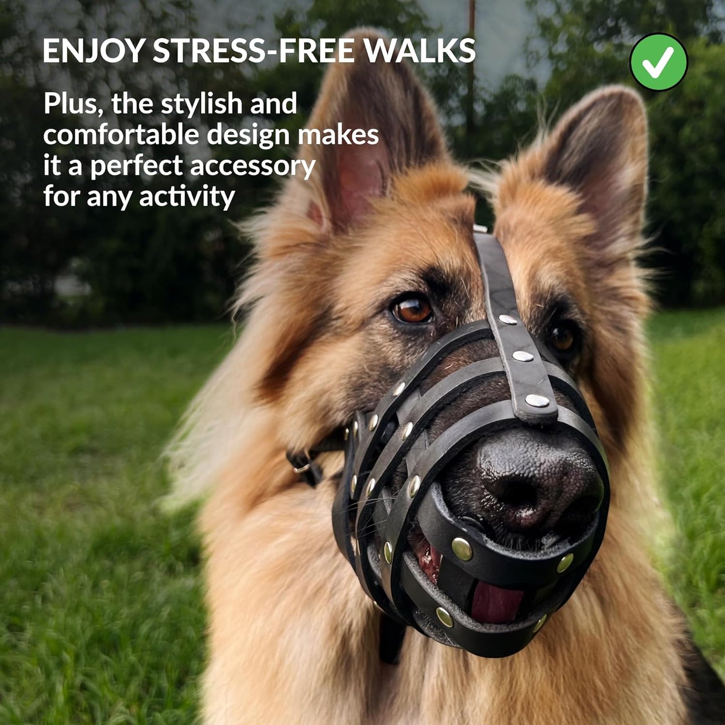 CollarDirect Dog Muzzle German Shepherd Dalmatian Doberman Setter Leather Basket Medium Large Breeds (Black, Large) - Pet Explorer