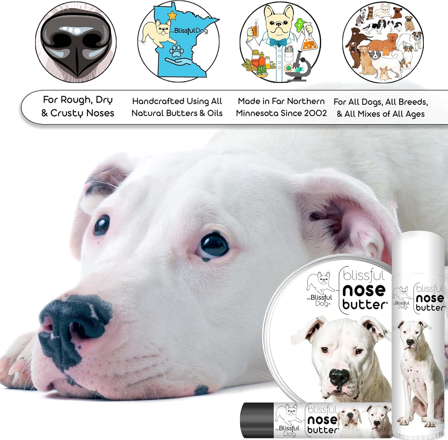 The Blissful Dog Dogo Argentino Unscented Nose Butter - Dog Nose Butter, 16 Ounce - Pet Explorer