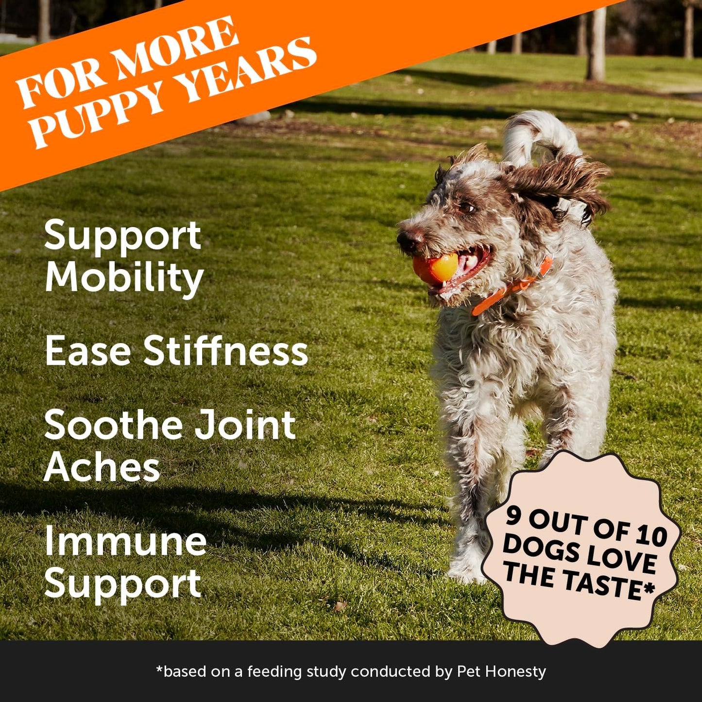 Hip & Joint Turmeric Health - Joint Supplement for Dogs, Omega-3 Fish Oil, Turmeric to Support Overall Health & Ease Stiffness - Advanced Pet Mobility Support - 90 Ct (Pumpkin) - Pet Explorer