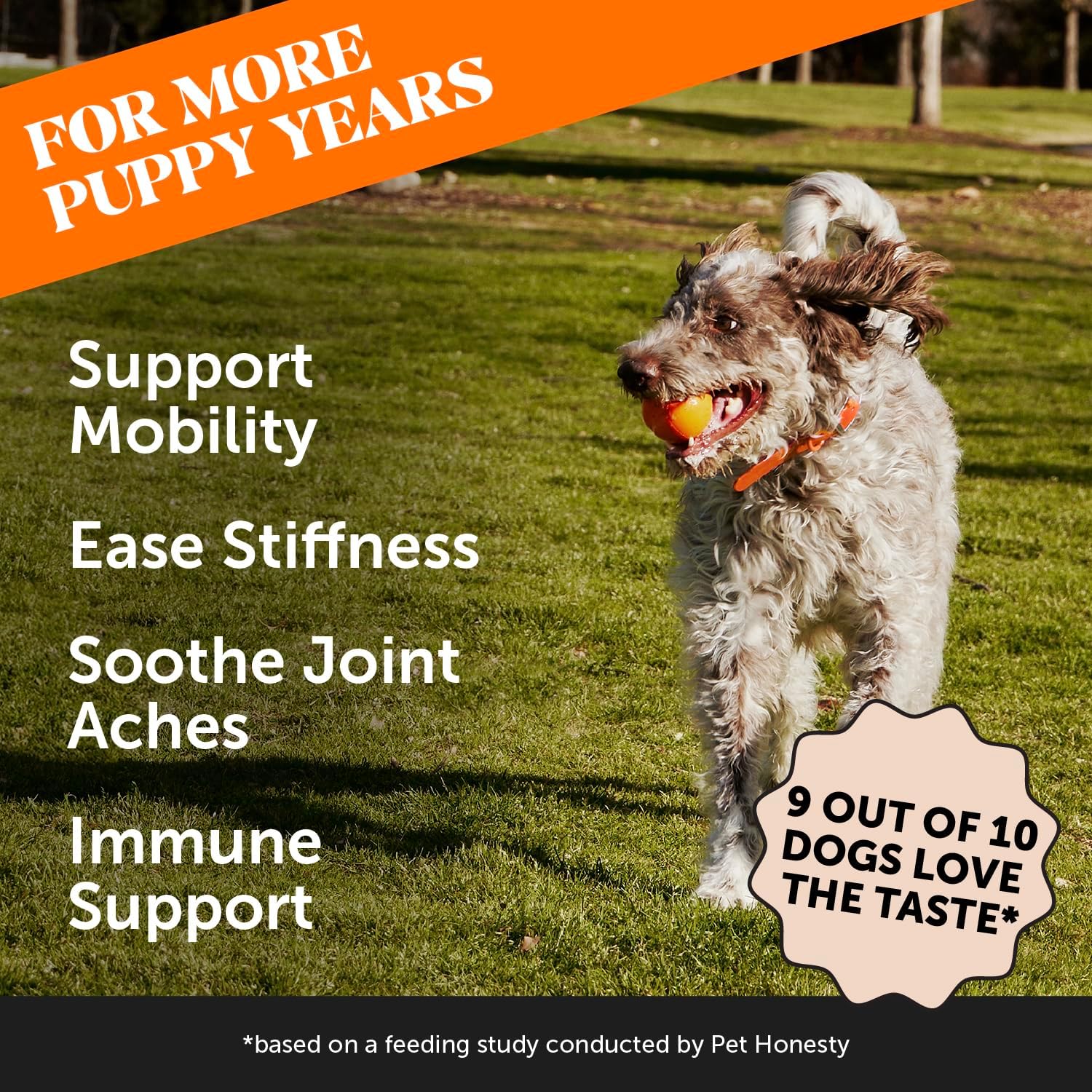 Hip & Joint Turmeric Health - Joint Supplement for Dogs, Omega-3 Fish Oil, Turmeric to Support Overall Health & Ease Stiffness - Advanced Pet Mobility Support - 90 Ct (Pumpkin) - Pet Explorer
