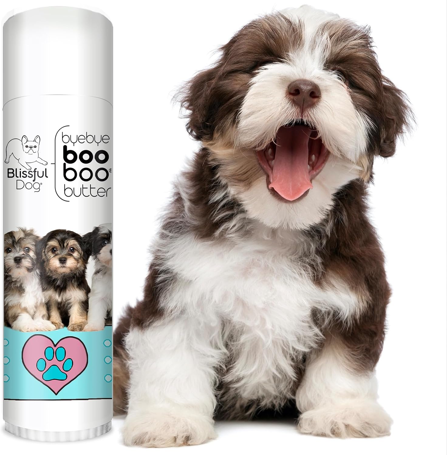 The Blissful Dog Havanese Boo Boo Butter, 0.50-Ounce - Pet Explorer