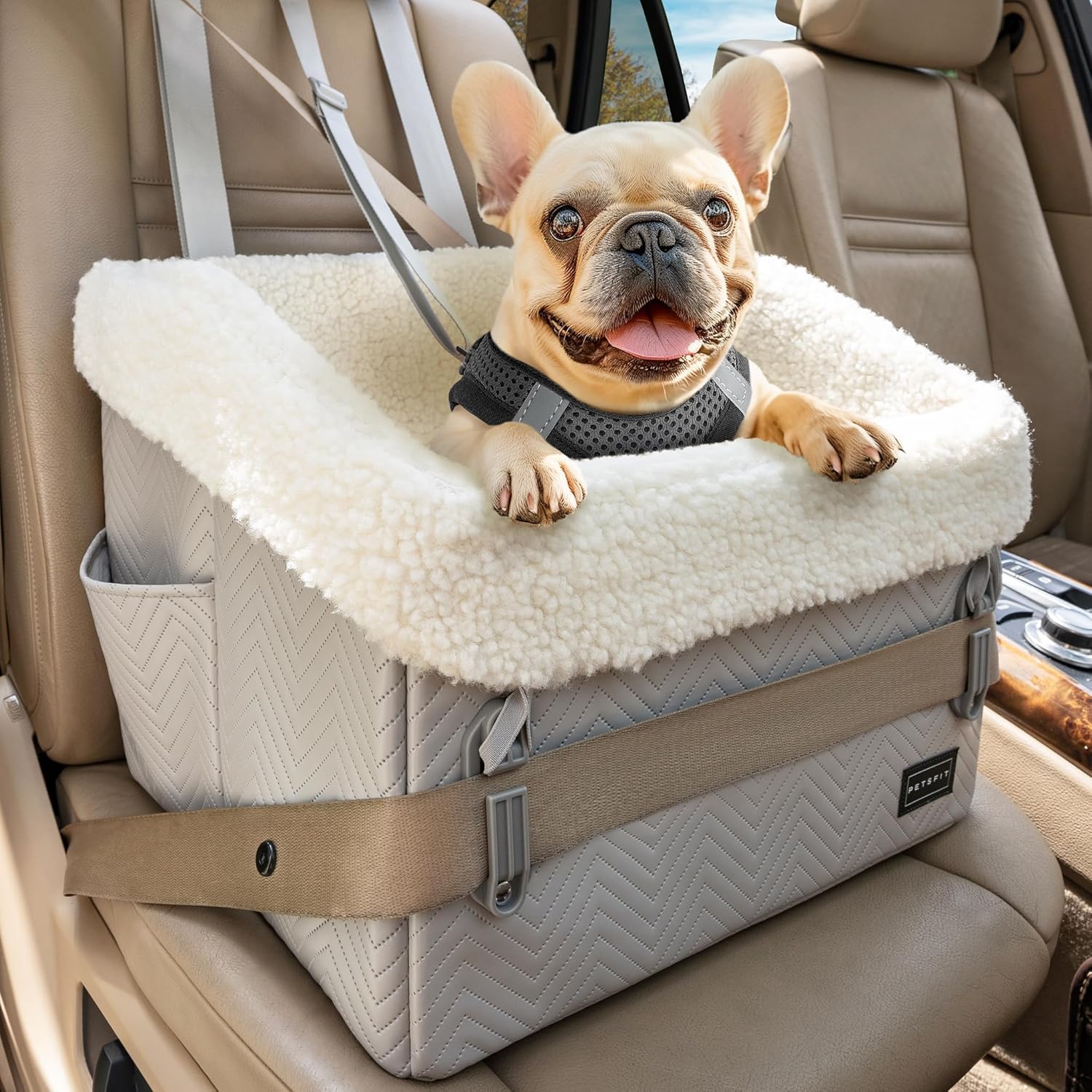 PETSFIT Small Dog Car Seat, Waterproof PU Leather Dog Booster Car Seat with Patented Safe Buckles, Pet Carseat for Medium or Small Sized Pets up to 30 lbs (Grey) - Pet Explorer