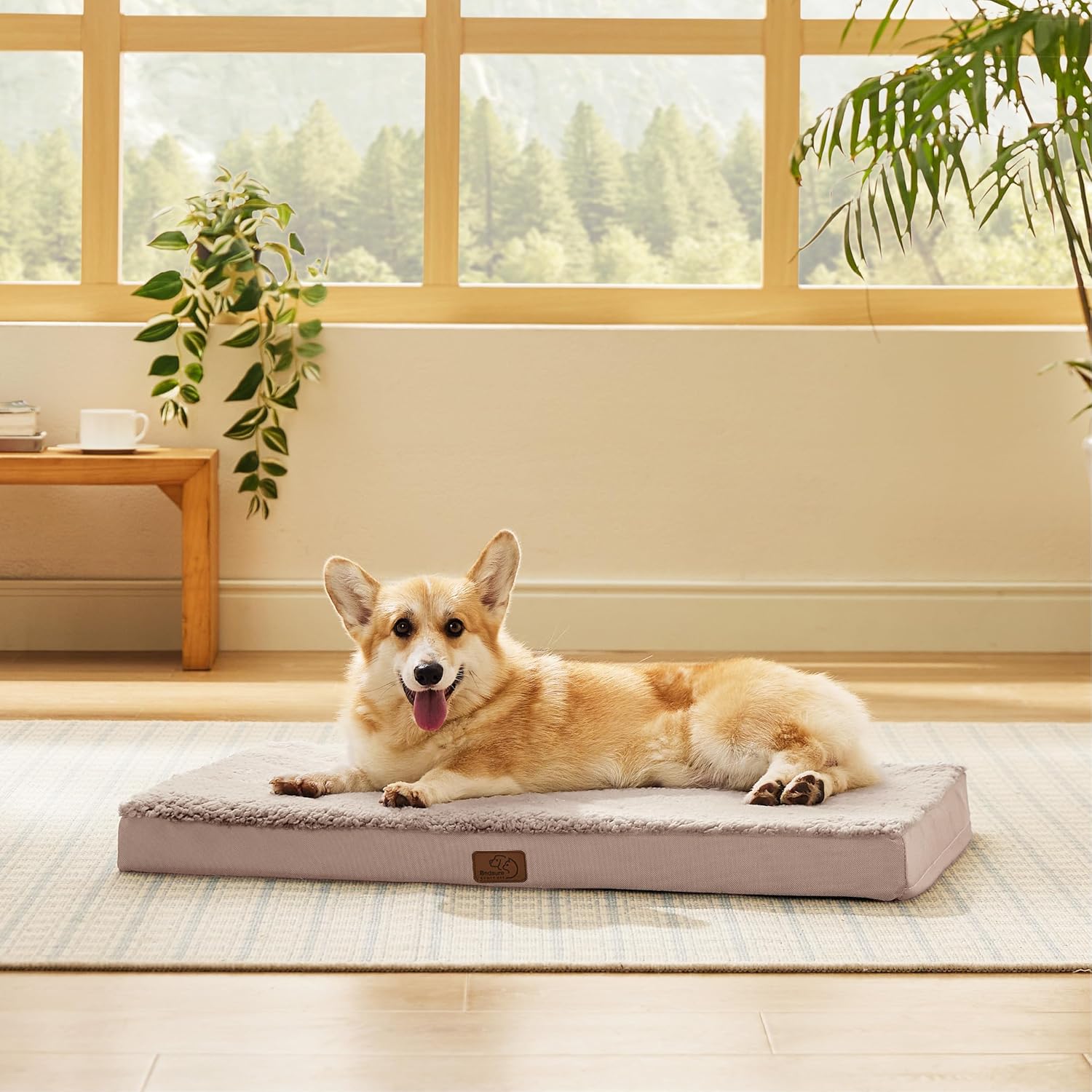 Bedsure Large Dog Bed for Crate - Orthopedic Flat Pet Beds with Removable Washable Cover, Egg Crate Foam Crate Mat, Suitable for Pet Up to 50 lbs - Pet Explorer