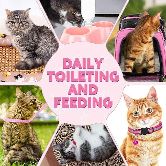 38 Pcs Kitten Supplies Starter Kit Cat Essentials Set Include Cat Scratcher Cardboard Stainless Steel Litter Box Bed Carrier Kitten Toys Accessories for Welcome Gift Supplies