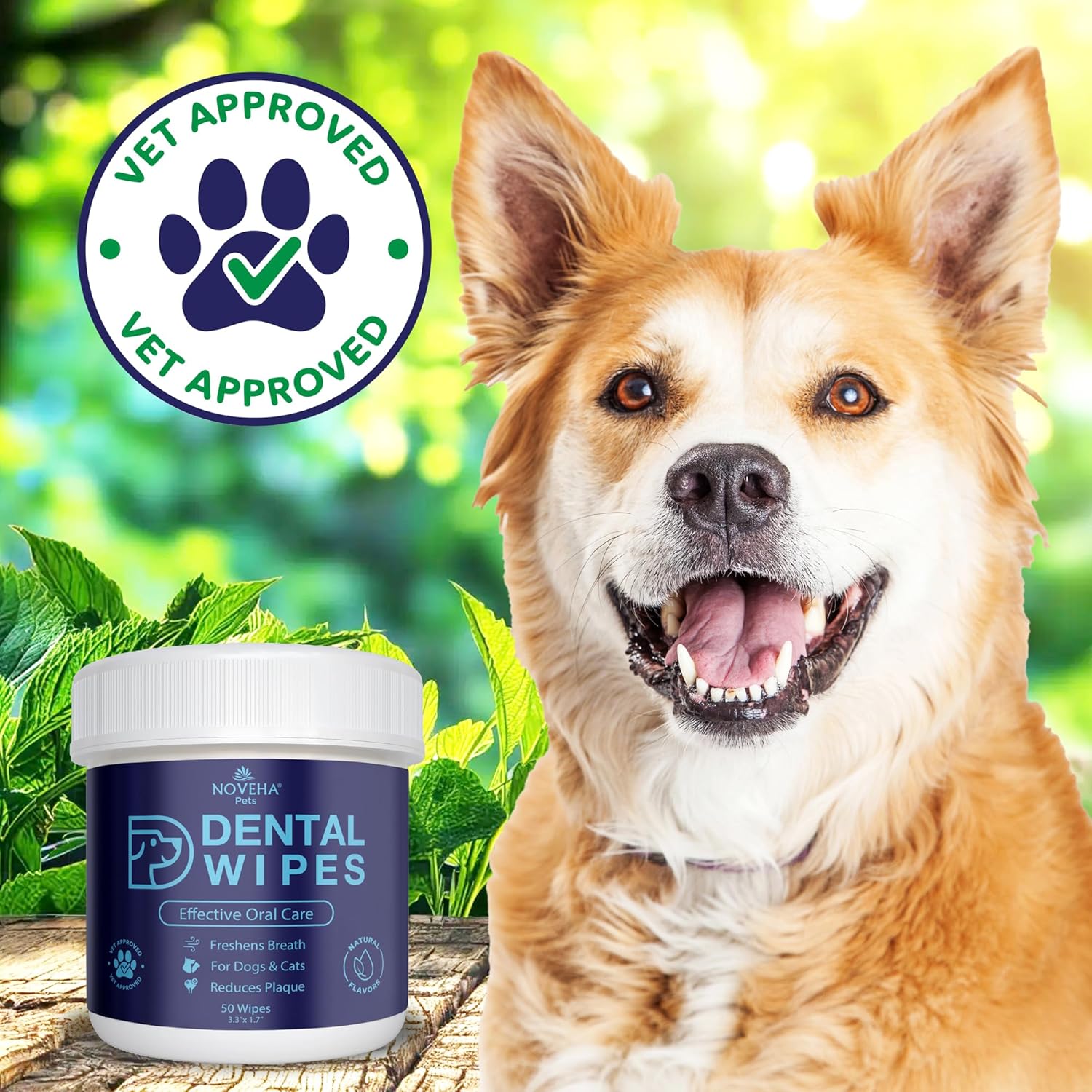 NOVEHA Pets Dental Finger Wipes for Dogs & Cats | Freshens Breath, Reduces Plaque | Healthier Gums | Clean Teeth No Toothbrush | Vet Recommended Effective Natural Oral Care (100 pcs, Flavor-Free) - Pet Explorer