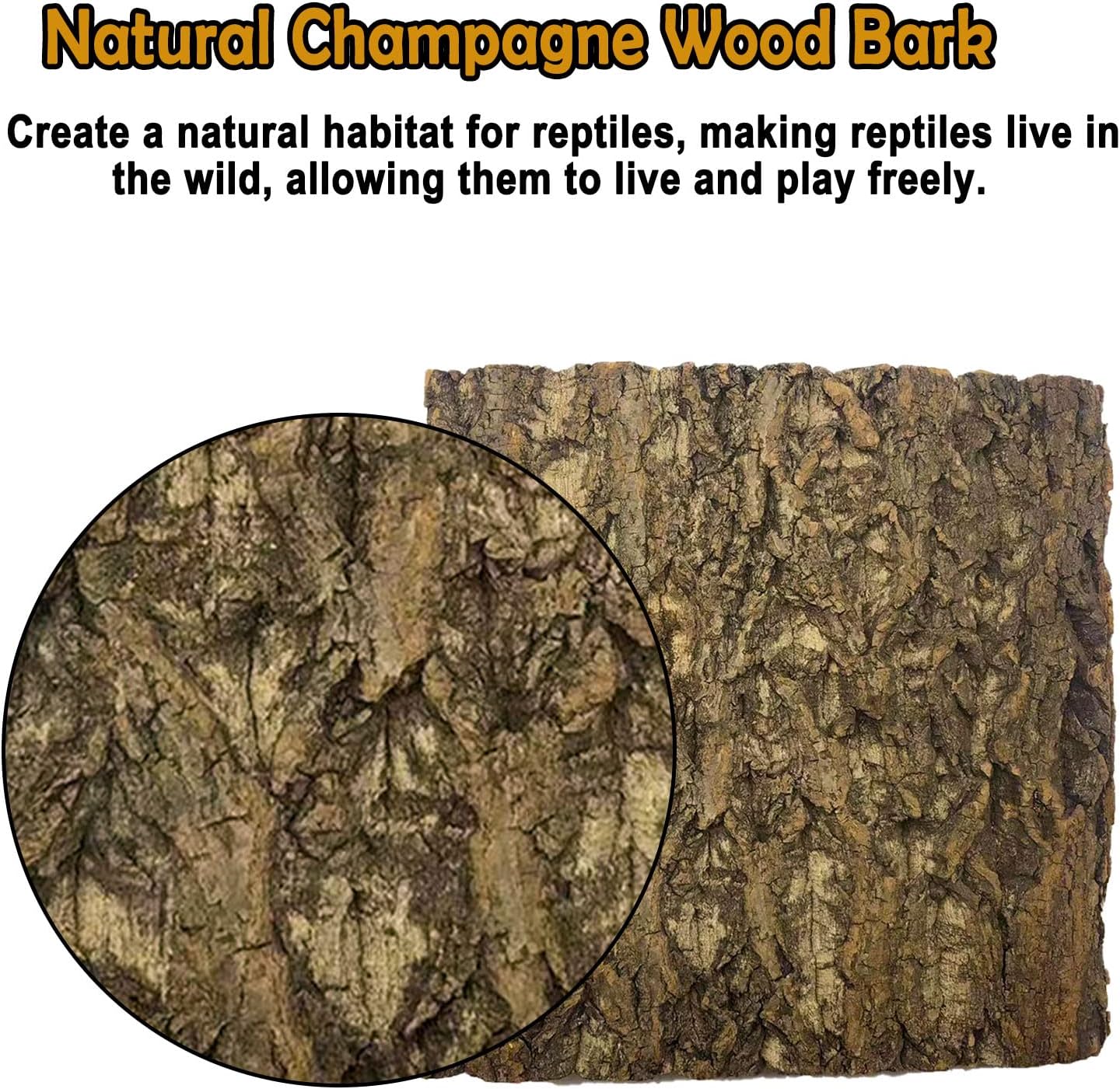Tfwadmx 2Pcs Terrarium Cork Bark Background, 11.8"x11.8" Thickened Reptile Tank Tree Backdrop Wall Decor Habitat Climbing Mat Decoration for Lizard, Turtle, Gecko, Bearded Dragon, Frog, Chameleon - Pet Explorer