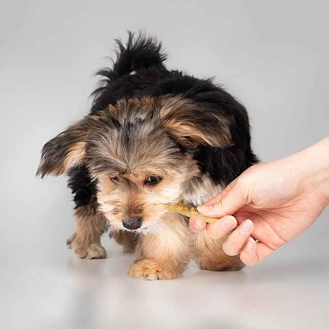 Fieldcrest Farms Nothin' to Hide Twist Stix, Beef Flavor – Easily Digestible Dog Chews, Supports Skin, Coat, Joints & Muscles, for Moderate Chewers Under 15 lbs, 100 Total Pieces