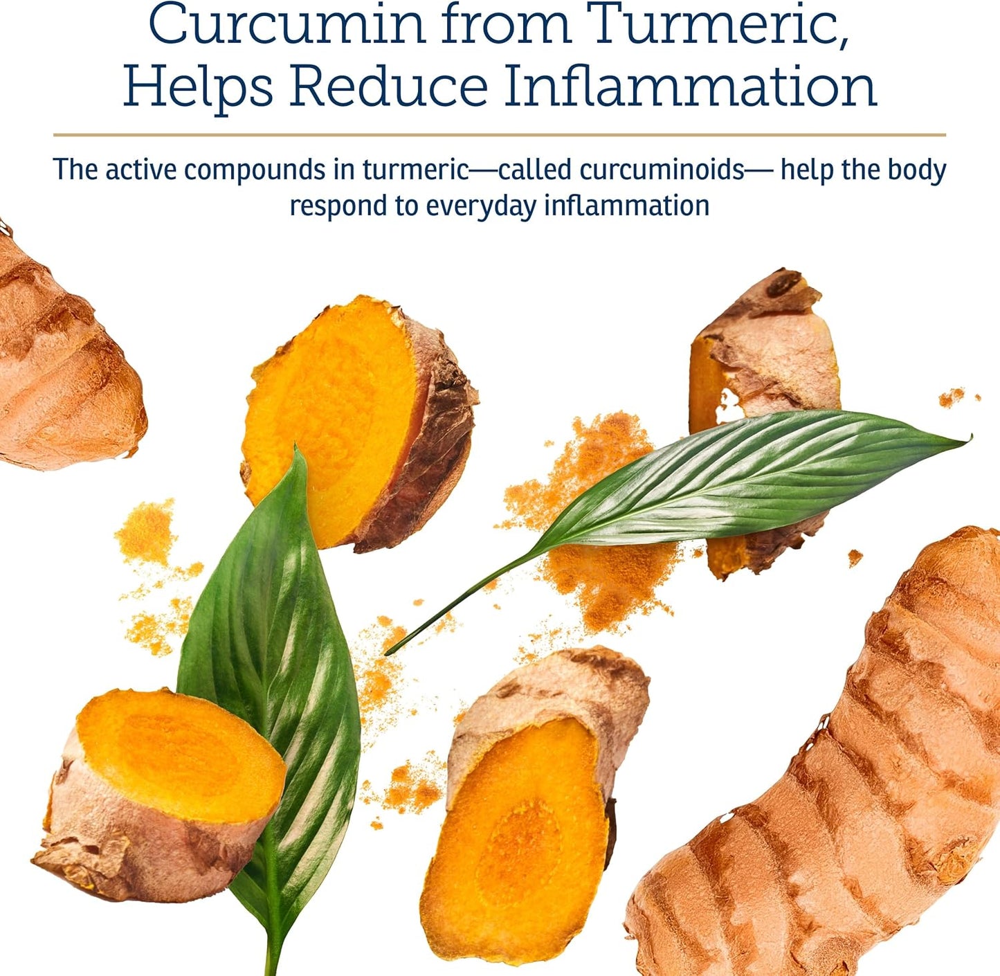 Rx Vitamins CurcuWIN - Curcumin for Dogs & Cats - Vitamins and Supplements, Allergy Relief - Provides Immune Support & Aids Digestive Support - Joint Supplement - 90ct - Pet Explorer