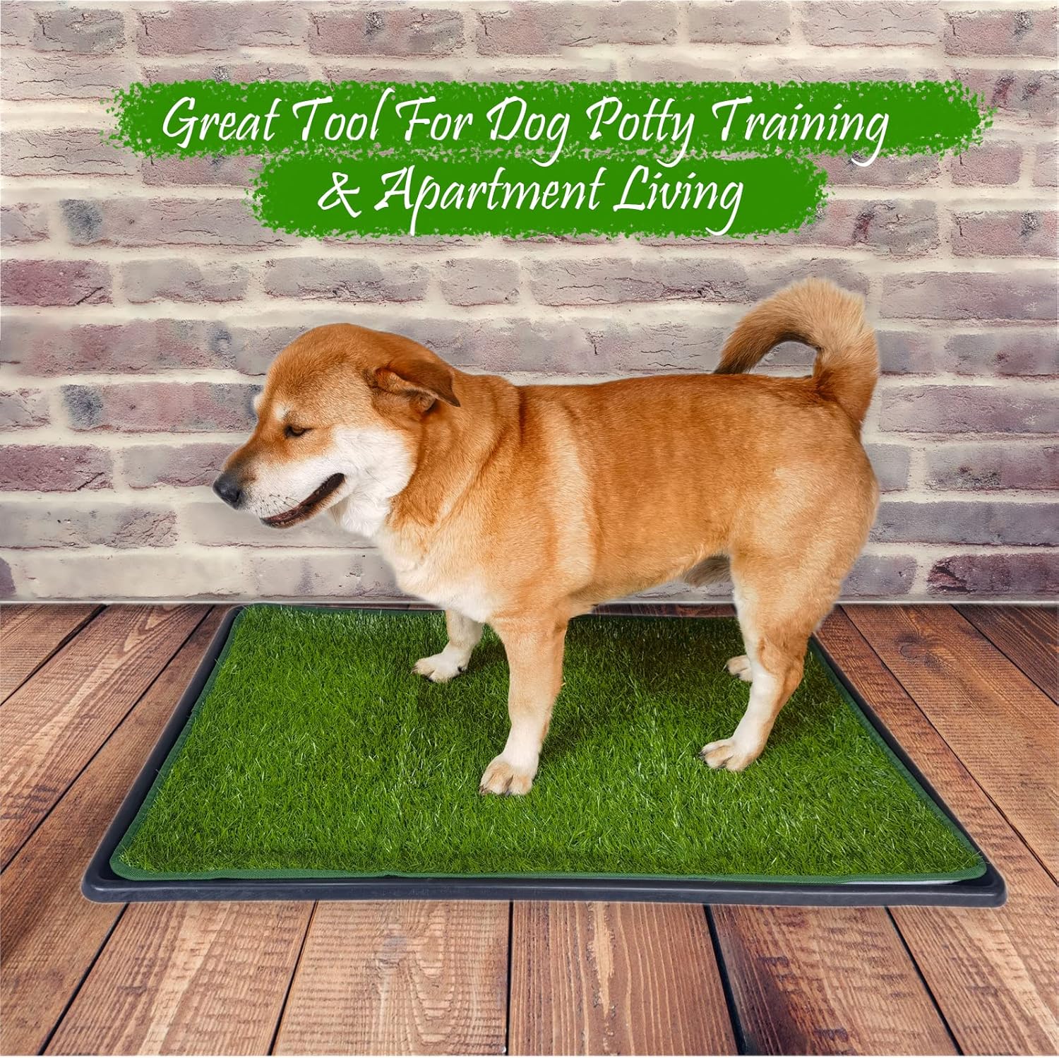 Dewonch Dog Artificial Grass Pad with Tray for Puppy Potty Training, Fake Turf Patch & Washable Pee Pad Pet Loo for Small and Medium Dogs, Indoor or Outdoor Use (Potty System 35.4” x 23.6”) - Pet Explorer