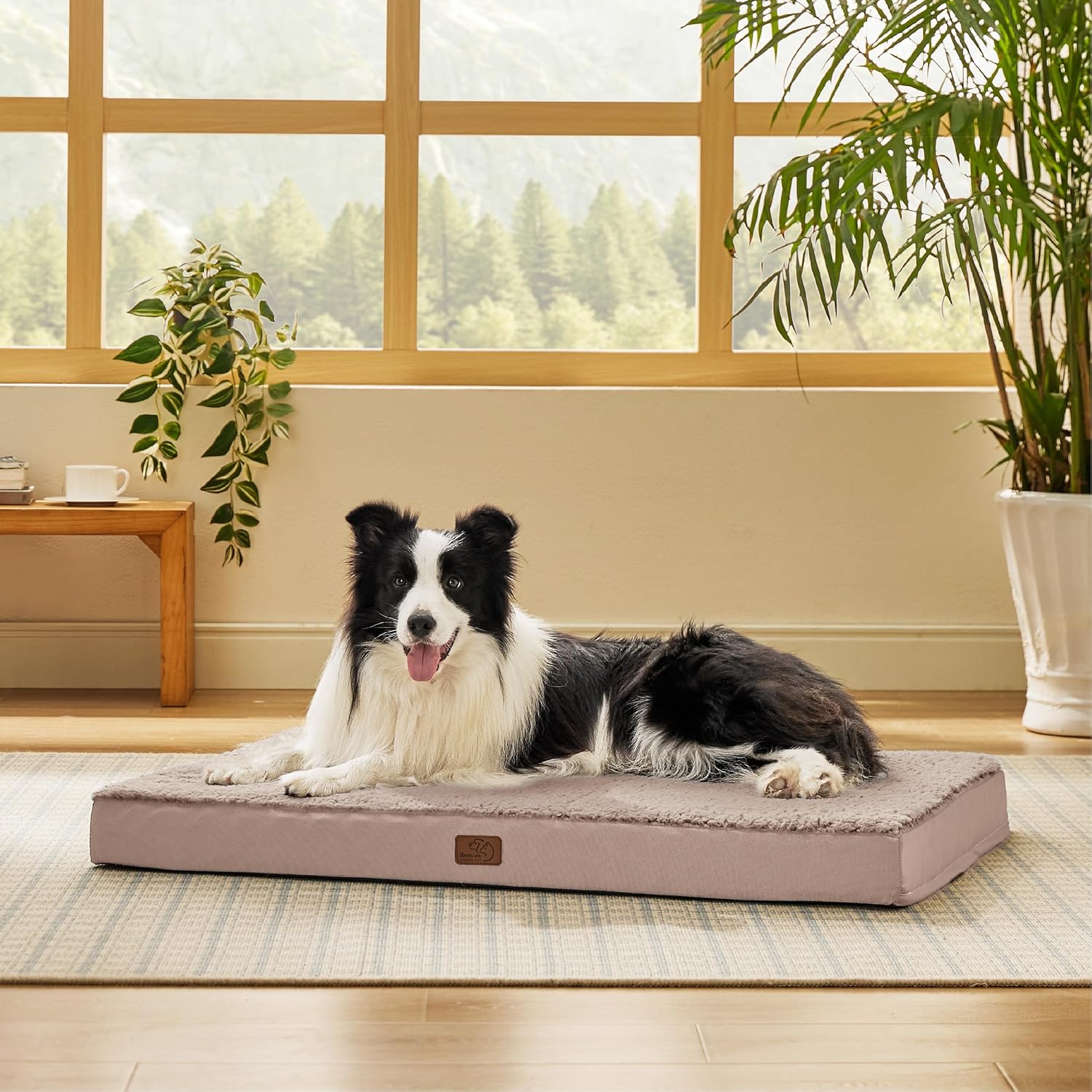 Bedsure Dog Beds Large Sized Dog - Orthopedic Flat Pet Beds with Removable Washable Cover, Egg Crate Foam Puppy Mat, Suitable for Pet Up to 65 lbs - Pet Explorer