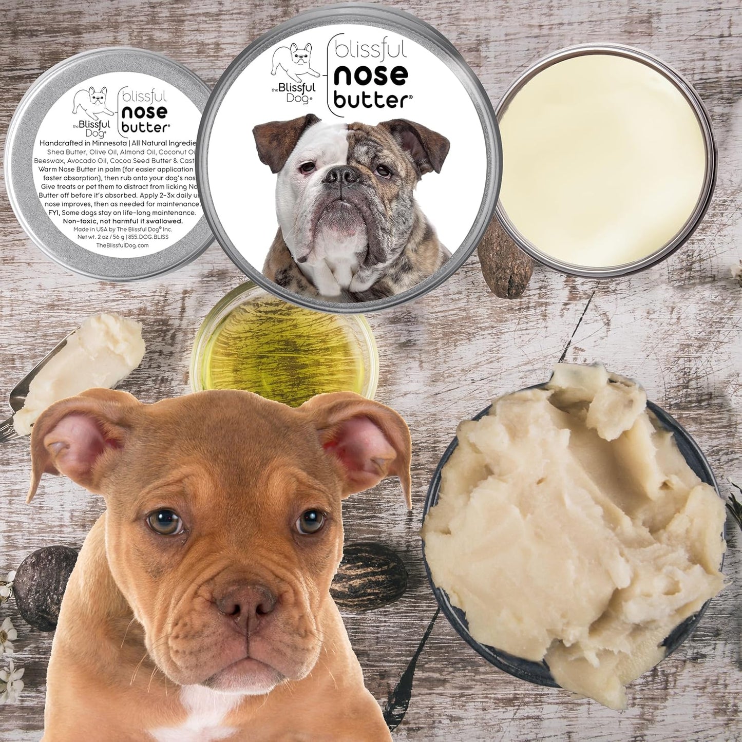 The Blissful Dog Mastiff Nose Butter for Dry, Cracked Skin, Lick-Safe Dog Nose Balm with Moisturizing Shea Butter, Almond, Olive, and Essential Oils, Pet Supplies, Uncented, 4 oz. - Pet Explorer