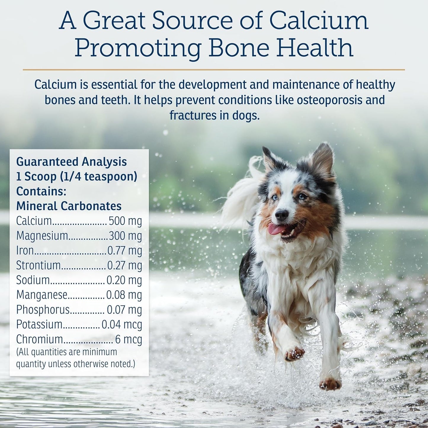 Rx Vitamins Canine Minerals - Essential Minerals for Dogs - Calcium, Magnesium, Iron Supplement, Bone and Joint Supplement for K9, Immune Support - 16oz - Pet Explorer