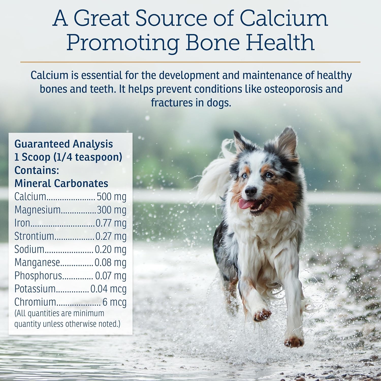 Rx Vitamins Canine Minerals - Essential Minerals for Dogs - Calcium, Magnesium, Iron Supplement, Bone and Joint Supplement for K9, Immune Support - 16oz - Pet Explorer