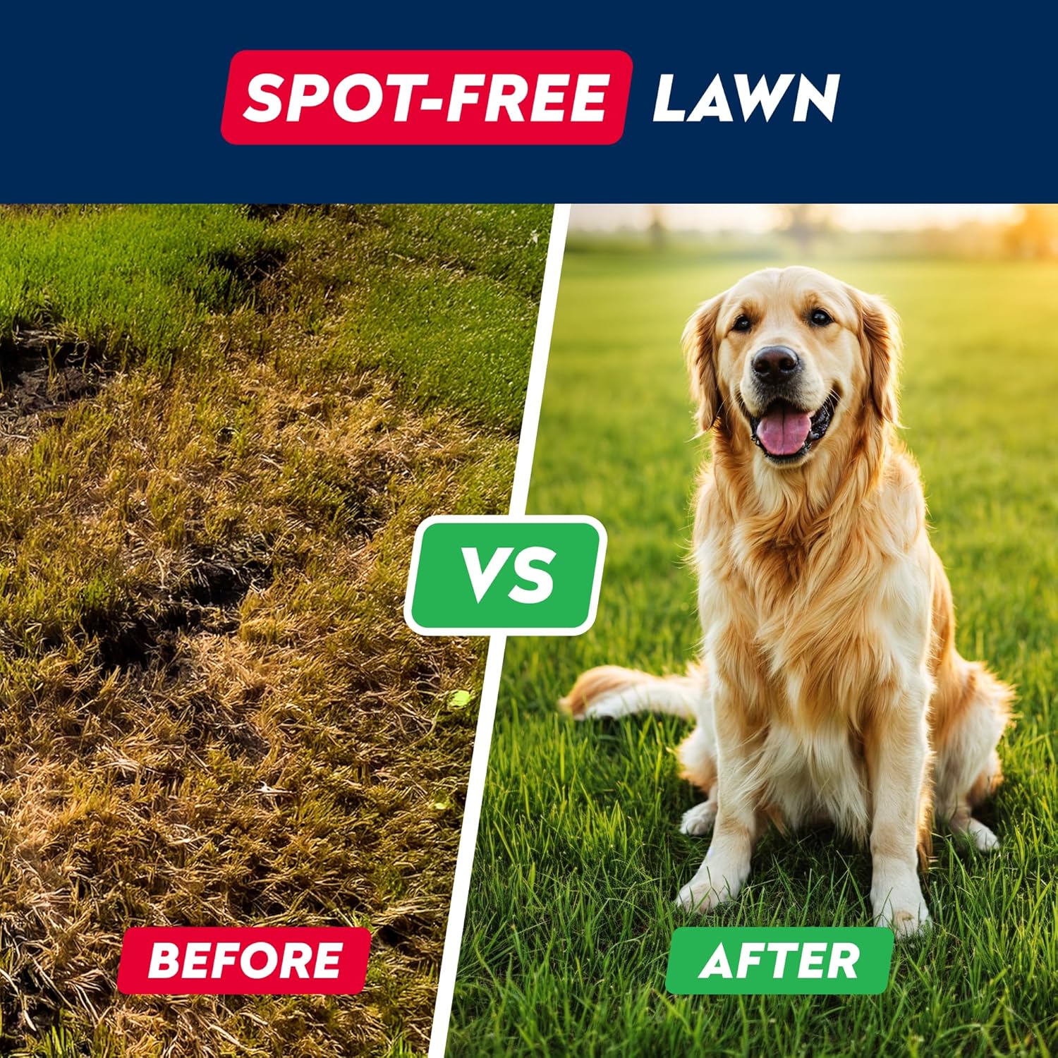 STRELLALAB Green Grass Dog Chews - Dog Pee Grass Helper - Supplement Urine Neutralizer for Grass Burn Spots - Grass Treatment for Pet Urine - Pee Lawn Repair Treats with Probiotics - Made in USA - Pet Explorer