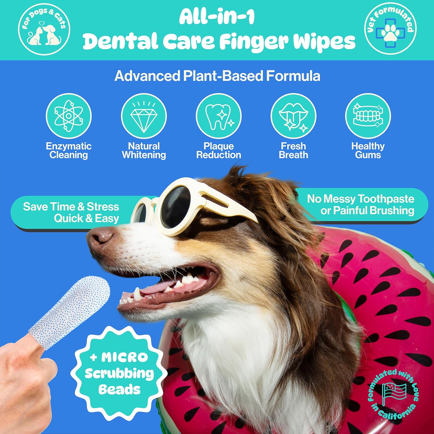All-in-1 Dog Teeth Cleaning Wipes | Enzymatic Whitening + Micro Scrubbing Beads | No Mess, Pet Dental Wipes & Finger Tooth Brushing Kit | Plant-Based Dental Care for Cats & Dogs (60 Count) - Pet Explorer