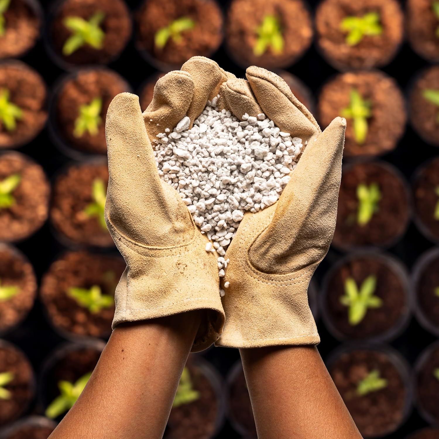 Perlite Bliss (24 Qts) - Organic Perlite for Plants - Coarse Perlite Bulk Soil Amendment - Chunky Perlite for Plants, Potting Soil, Garden Soil, & Coco Coir - Horticultural Perlite for Gardening - Pet Explorer
