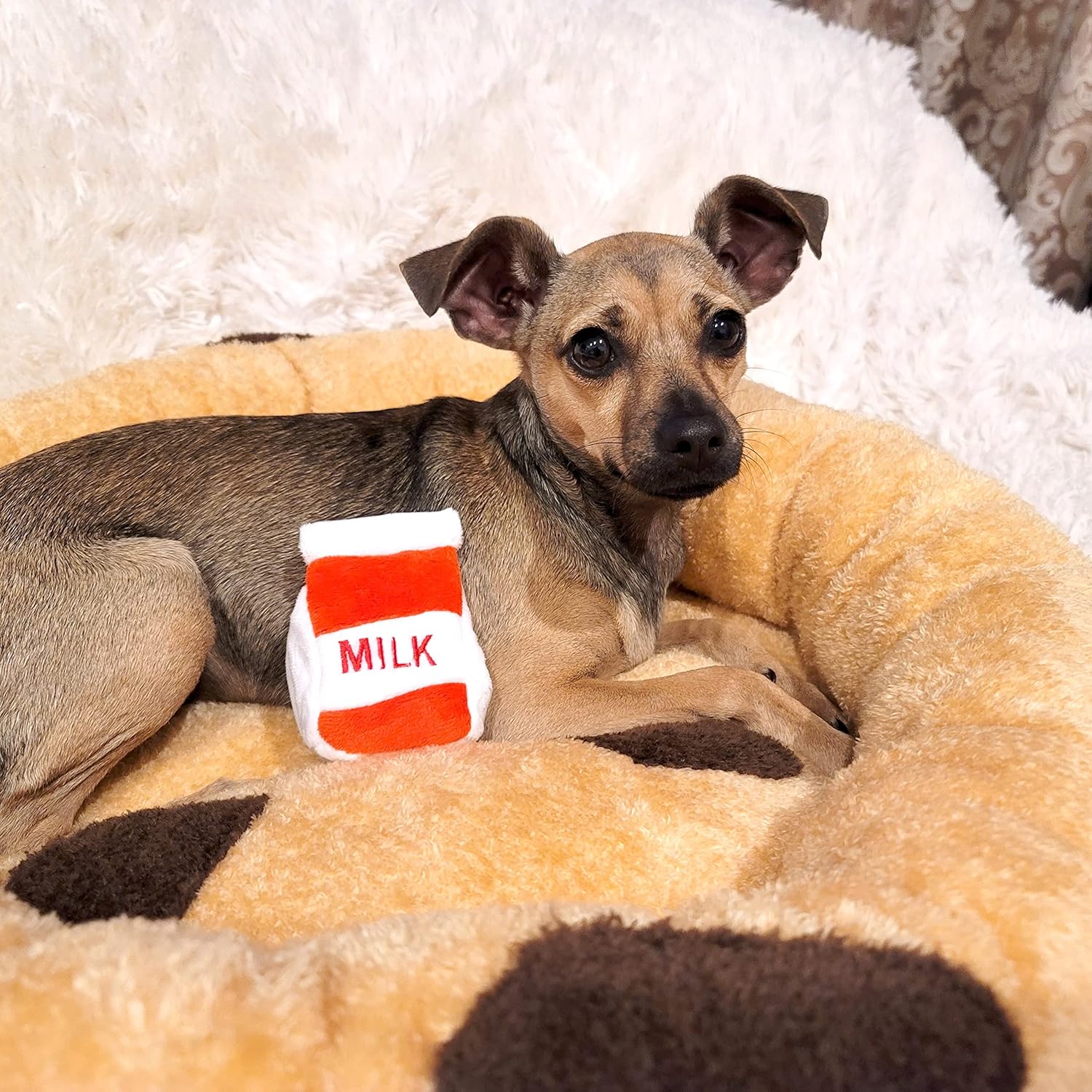 TONBO Soft Plush Small Cute and Cozy Food Dog Cat Bed, Washer and Dryer Friendly (Chocolate Chip Cookie) - Pet Explorer