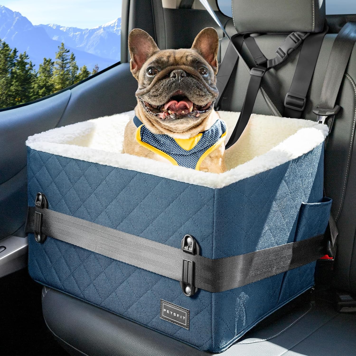 PETSFIT Pet Car Seat for Small Dogs, Soft Foam Dog Booster Car Seat with Patented Safety Buckles, Storage Pockets and Detachable Clip-On Safety Leash, Dog Carseat for Small Dogs Under 30 LBS (Blue) - Pet Explorer