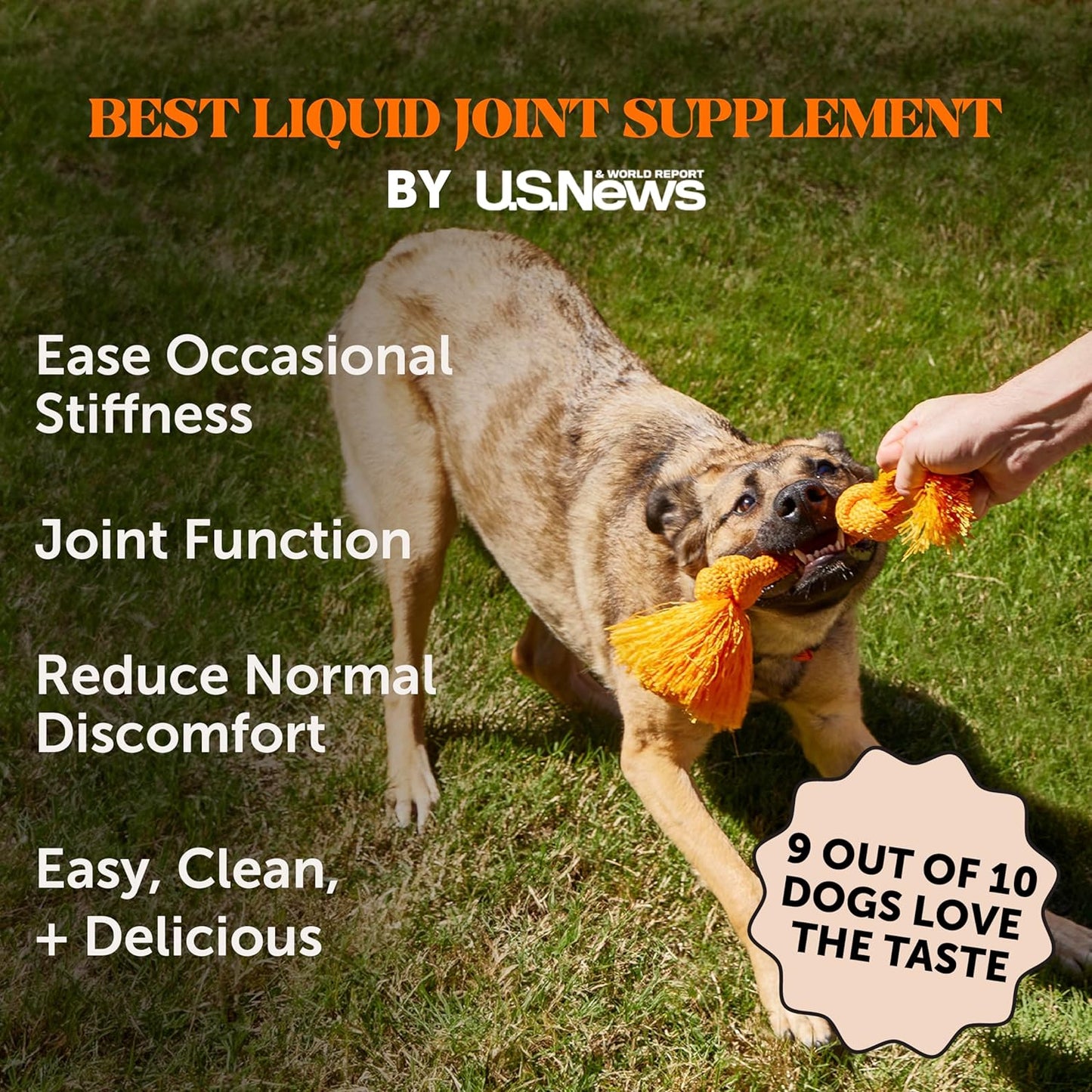 Dog Joint Supplement with Salmon Oil for Dogs - Ease Stiffness, Reduce Discomfort & Support Joint Mobility Liquid Supplement, Dog Food Topper Bone Broth with Glucosamine for Dogs (12 oz) - Pet Explorer