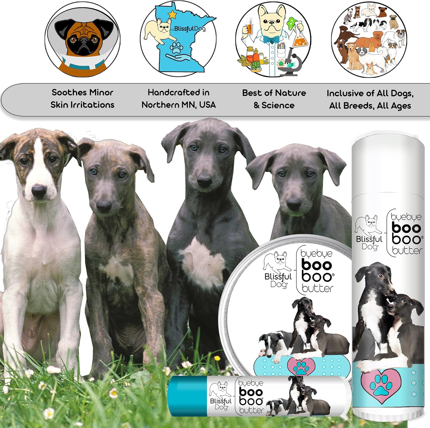 The Blissful Dog Greyhound Boo Boo Butter, 0.15-Ounce - Pet Explorer