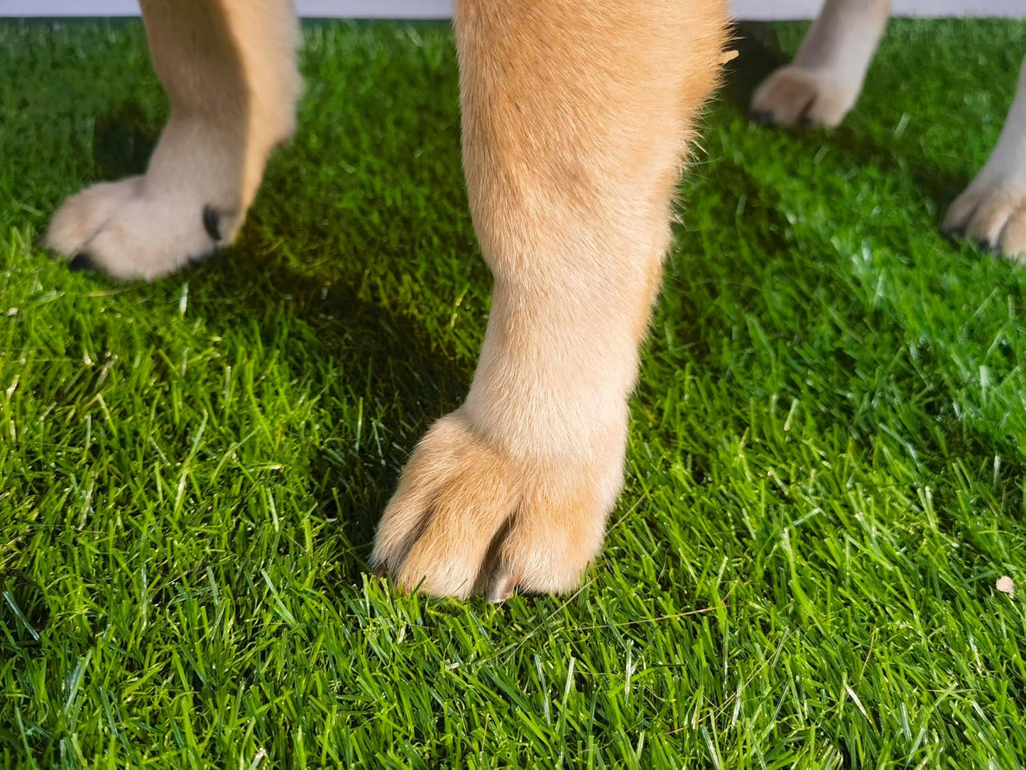 Artificial Grass Turf Pad for Dog Potty Training 22 x34 in (Replacement Grass) - Pet Explorer