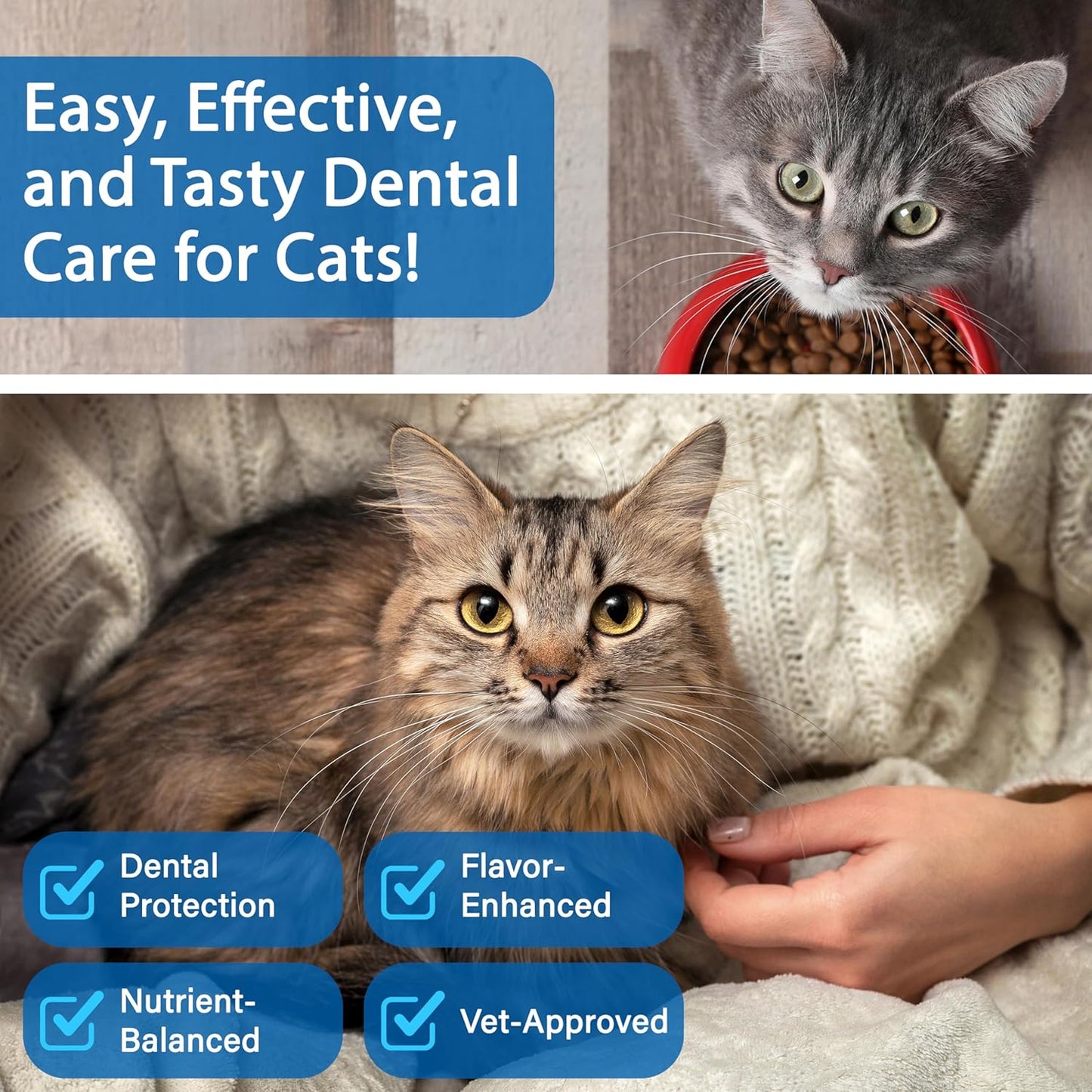 Cat Dental Care Powder Bad Breath Treatment for Cats Teeth, Mouth, Gums & Gut, Plaque Off,Tartar Control, Help Feline Gingivitis and Stomatitis, with Natural Extracts & Probiotics - Pet Explorer