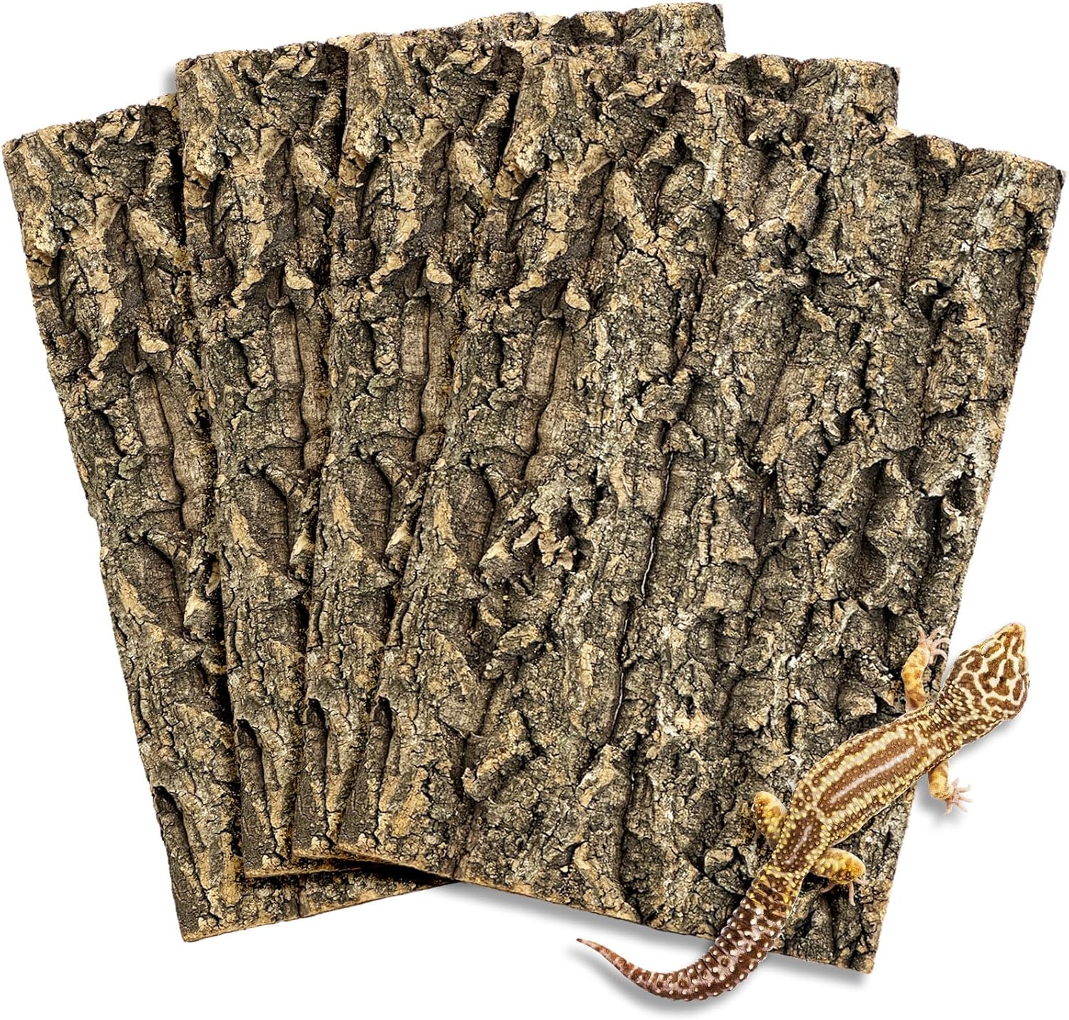 Fhiny 4 PCS Cork Bark Background, 11.6" x 7.7" Natural Cork Bark for Reptiles Bearded Dragon Climbing Backdrop Terrarium Habitat Wall Decor Accessories for Turtle Gecko Lizard Snake Spider Frog - Pet Explorer