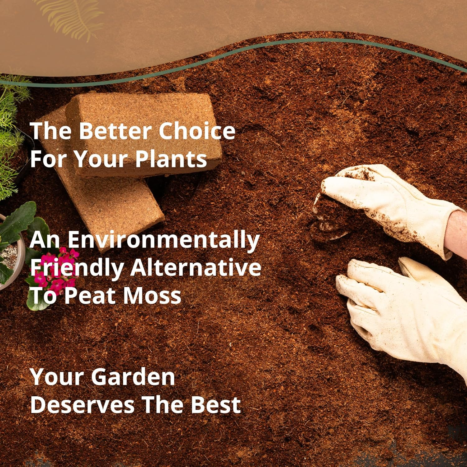 Coco Bliss Coco Coir Bricks (50-Pack, 650gm Bricks) - Organic Coco Coir for Plants - OMRI-Listed Coconut Coir for Plants - Coconut Coir Bricks - Coco Peat for Plants, Garden Soil, & Organic Mulch - Pet Explorer