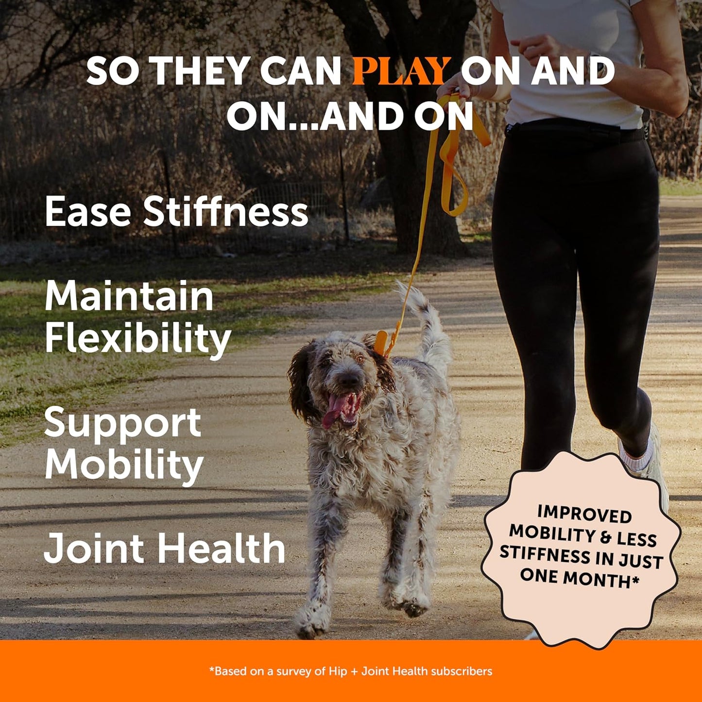 Hip & Joint Health - Glucosamine for Dogs Soft Chews, Joint Supplement for Dogs with Glucosamine Chondroitin, MSM, Turmeric, Anti Inflammatory, Support + Mobility (Chicken 90ct) - Pet Explorer
