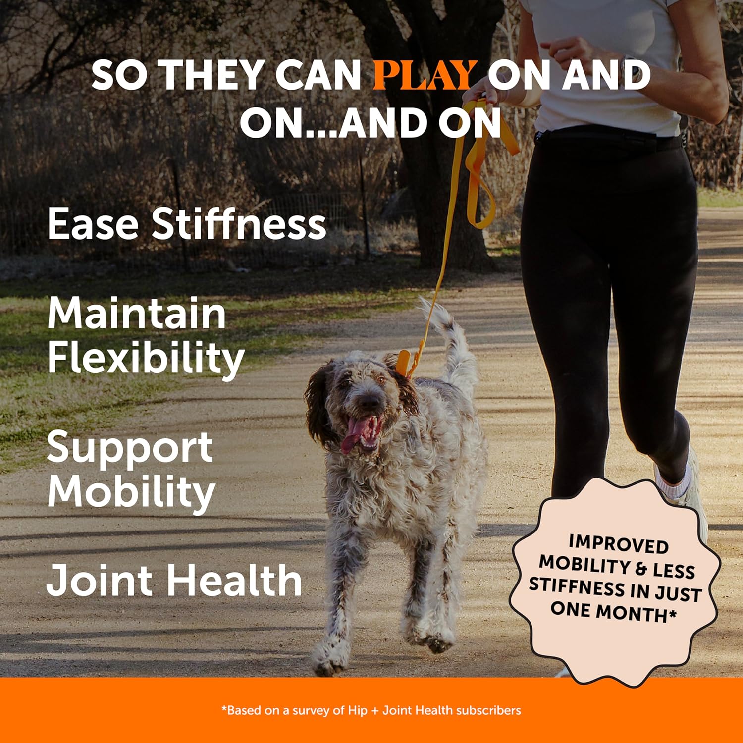 Hip & Joint Health - Glucosamine for Dogs Soft Chews, Joint Supplement for Dogs with Glucosamine Chondroitin, MSM, Turmeric, Anti Inflammatory, Support + Mobility (Chicken 90ct) - Pet Explorer