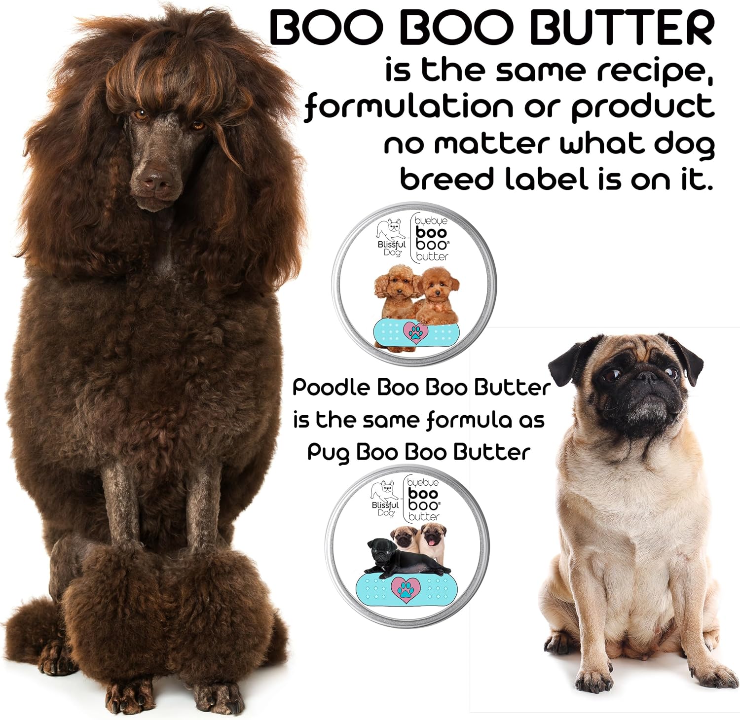 The Blissful Dog Leonberger Boo Boo Butter, 4-Ounce - Pet Explorer