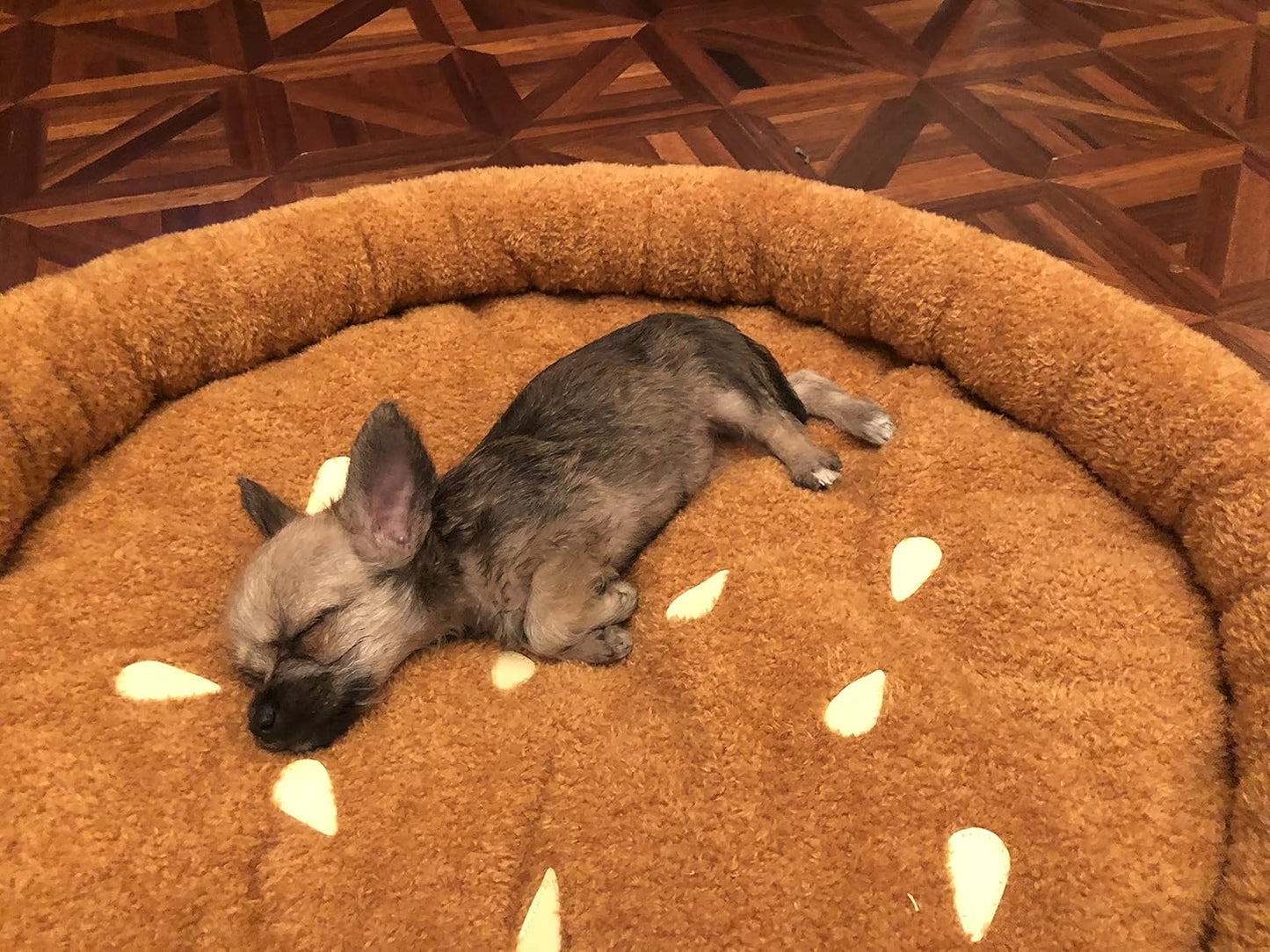 TONBO Soft Plush Small Cute and Cozy Food Dog Cat Bed, Washer and Dryer Friendly (Burger) - Pet Explorer