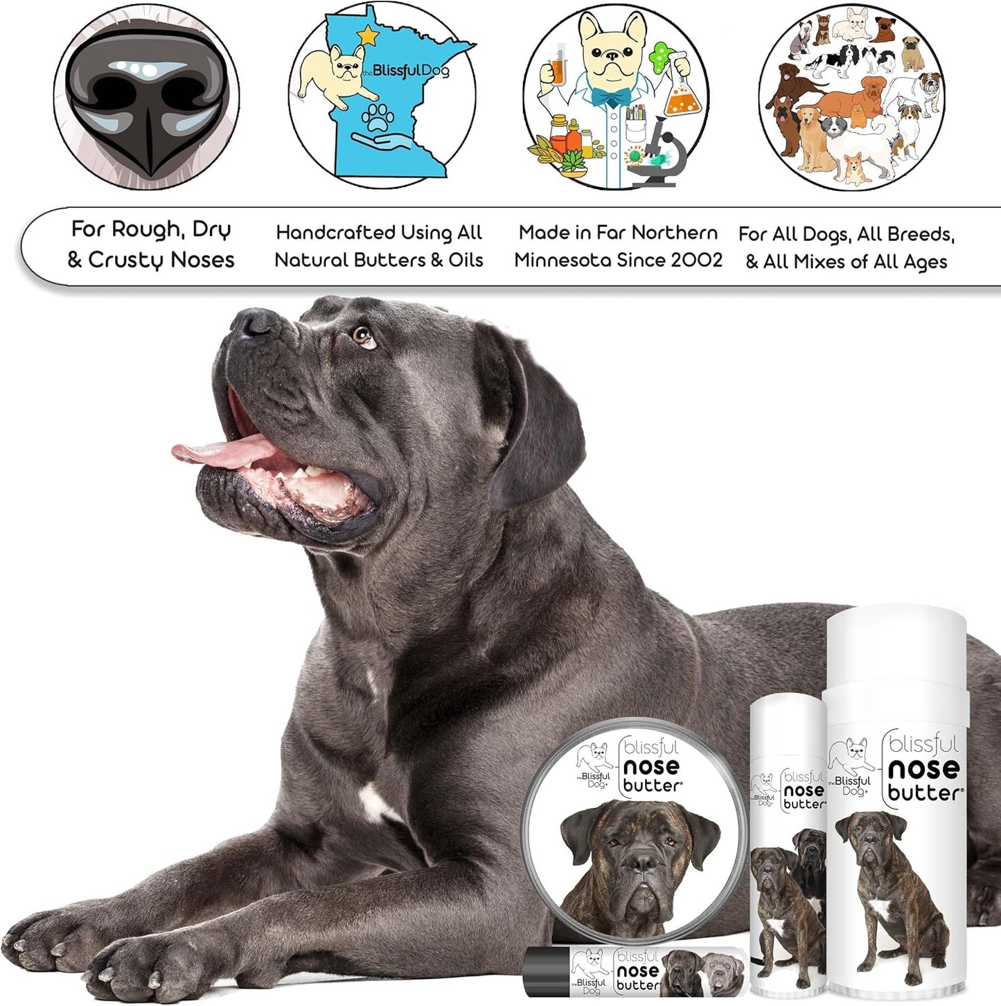 The Blissful Dog Cane Corso Nose Butter for Dry, Cracked Skin, Lick-Safe Dog Nose Balm with Moisturizing Shea Butter, Almond, Olive, and Essential Oils, Pet Supplies, Uncented, 4 oz. - Pet Explorer