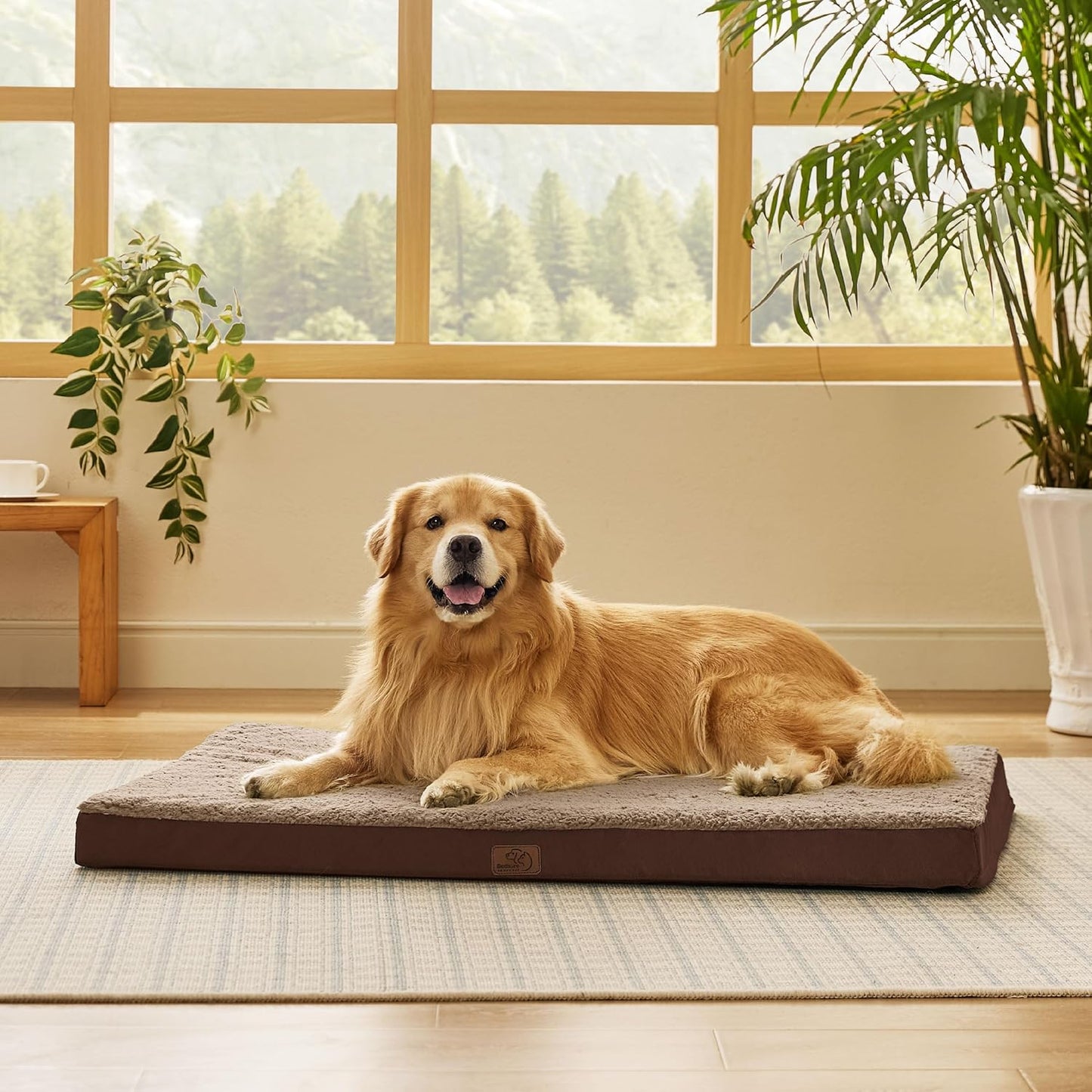 Bedsure XL Dog Beds Large Sized Dog -Orthopedic Flat Extra Large Pet Beds with Removable Washable Cover, Egg Crate Foam Mat, Suitable for Pet Up to 100 lbs - Pet Explorer