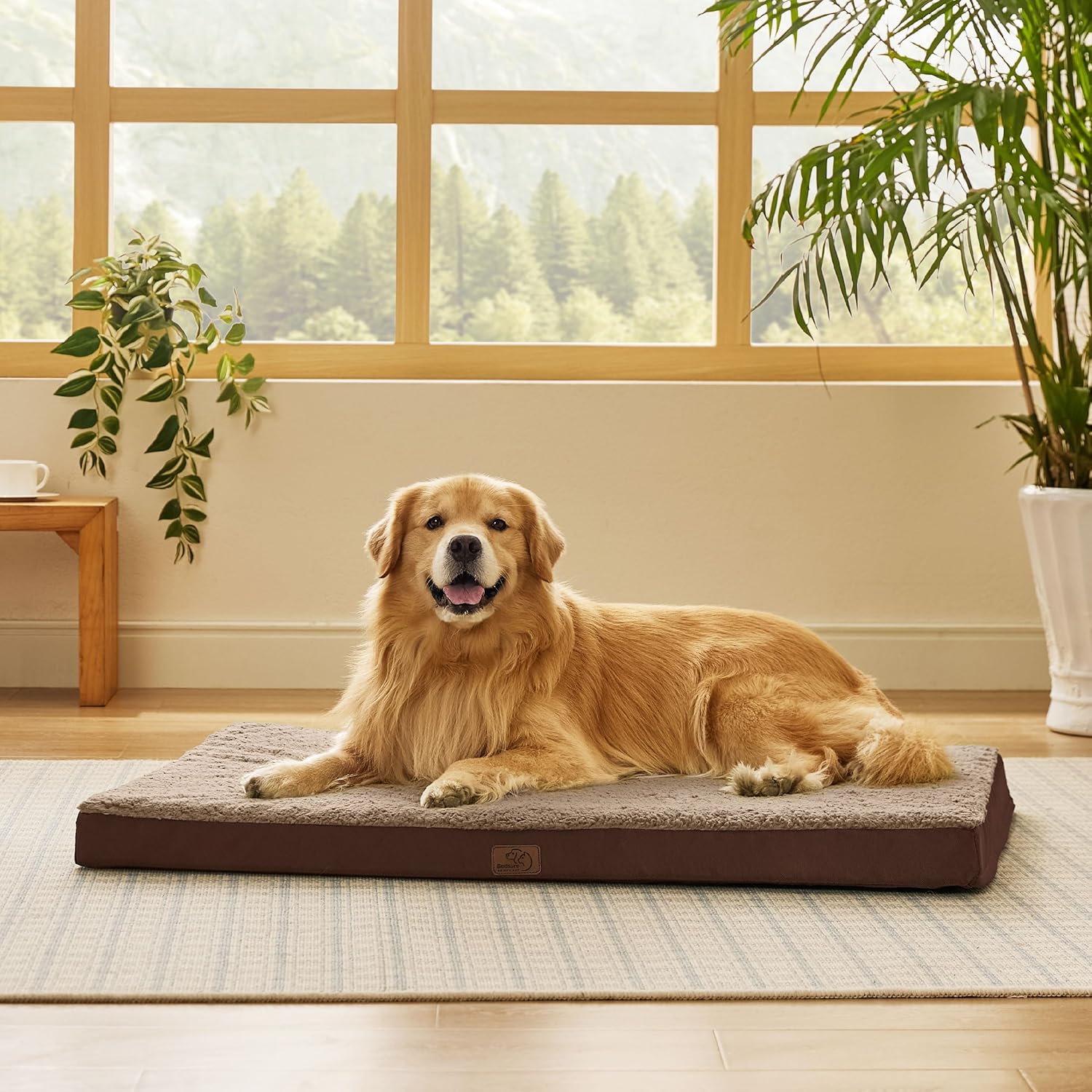 Bedsure XL Dog Beds Large Sized Dog -Orthopedic Flat Extra Large Pet Beds with Removable Washable Cover, Egg Crate Foam Mat, Suitable for Pet Up to 100 lbs - Pet Explorer