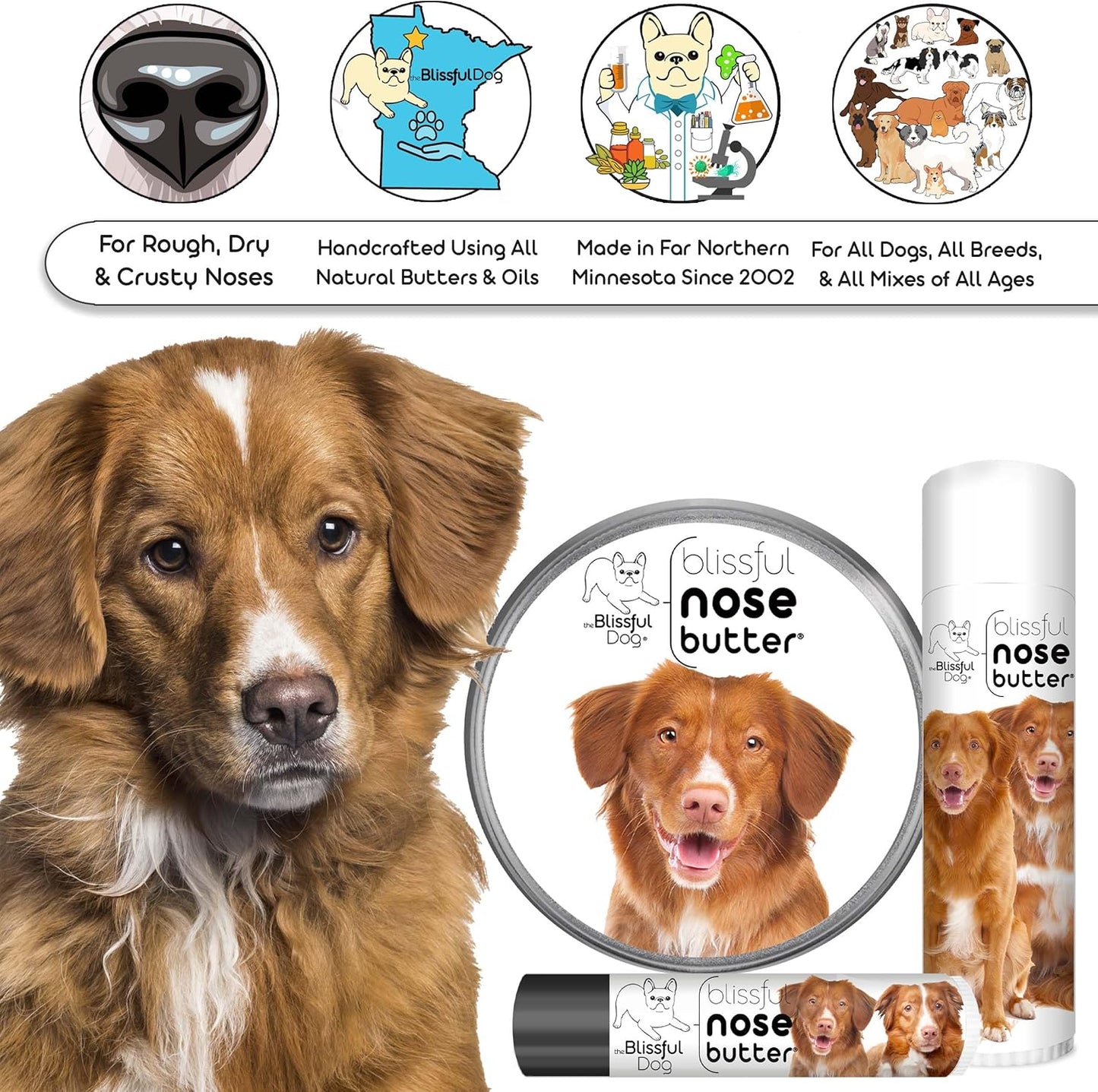 The Blissful Dog Nova Scotia Duck Tolling Retriever Unscented Nose Butter - Dog Nose Butter, 1 Ounce - Pet Explorer