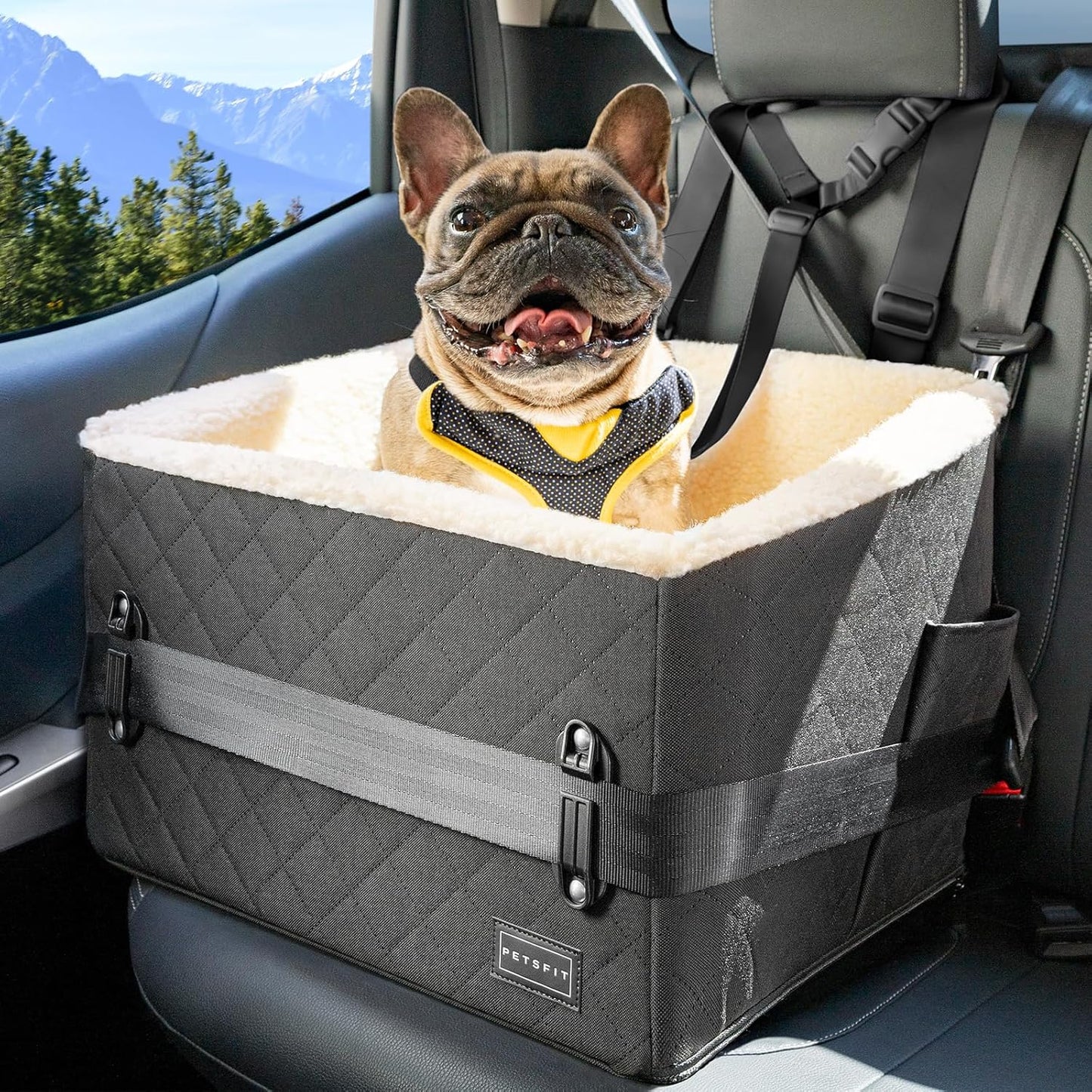 PETSFIT Dog Car Seats for Small Dogs, Soft Foam Dog Booster Seat with Patented Safety Buckles, Storage Pockets and Detachable Clip-On Safety Leash, Dog Car Seat for Medium Dogs 30 LBS (Black) - Pet Explorer
