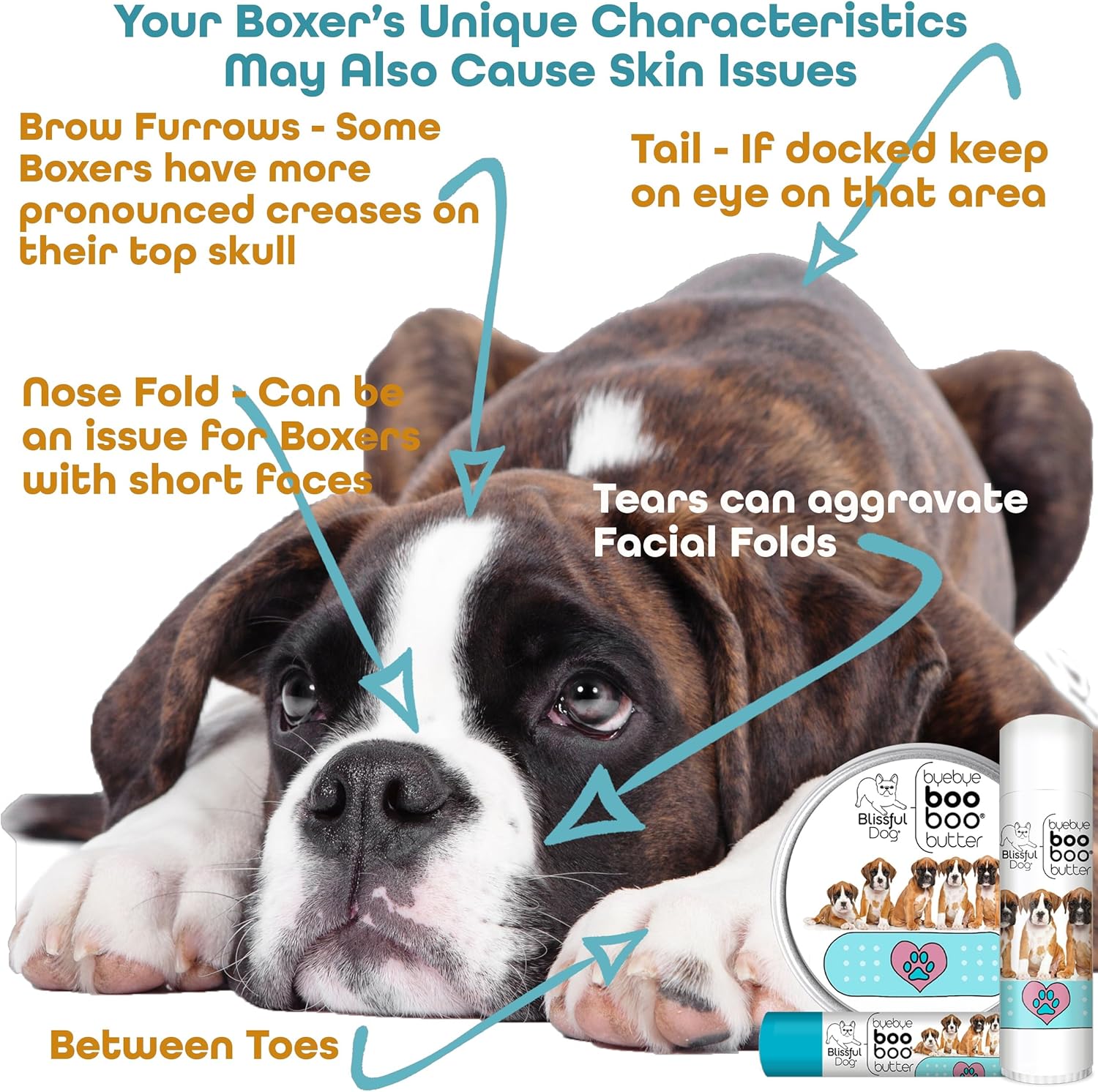 The Blissful Dog 2 oz TIN Boxer Booboo Butter - Pet Explorer