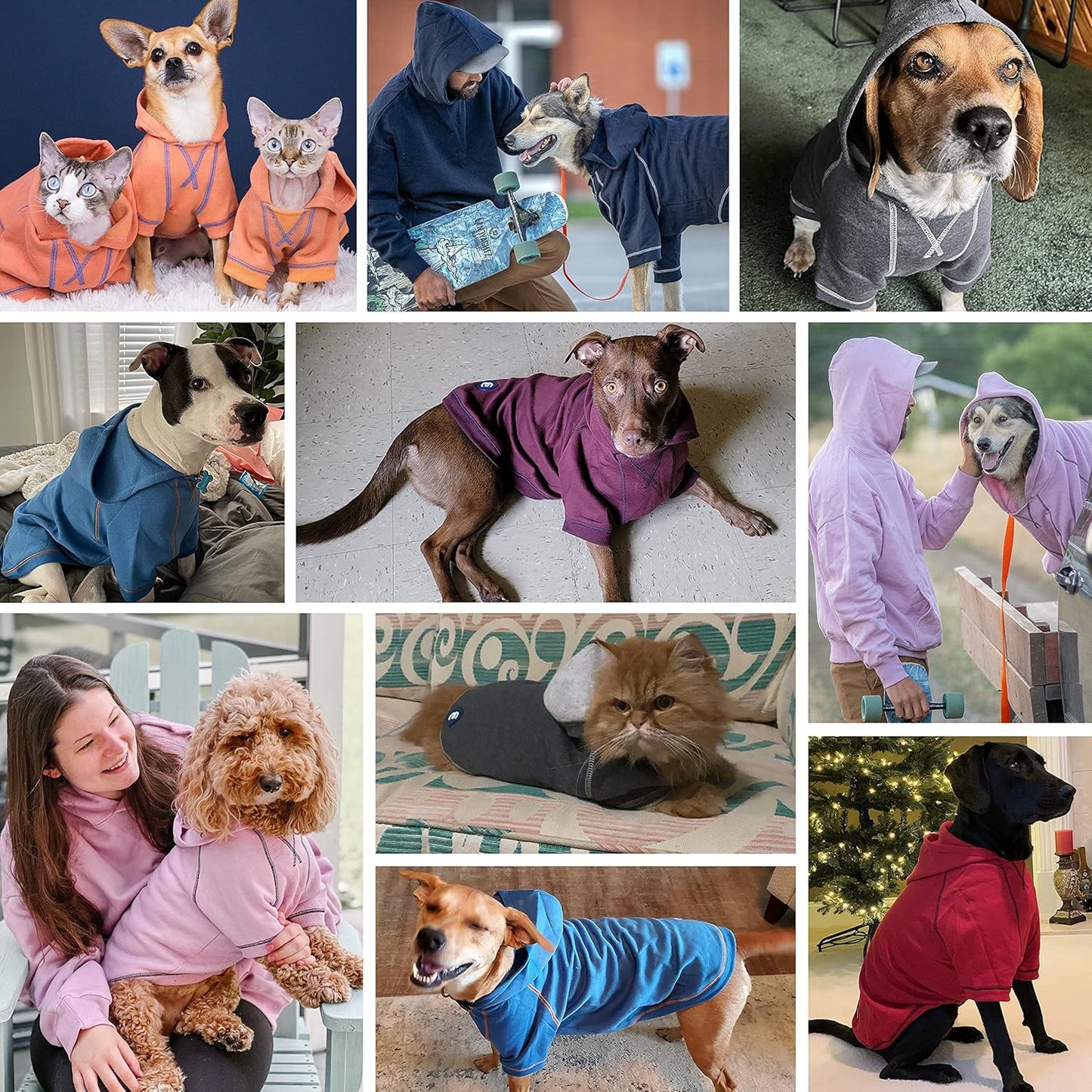 Blueberry Pet Hoodie – 14″ Soft Cotton-Blend Winter Sweatshirt, Alaskan Blue, Award-Winning Small-Dog Jersey