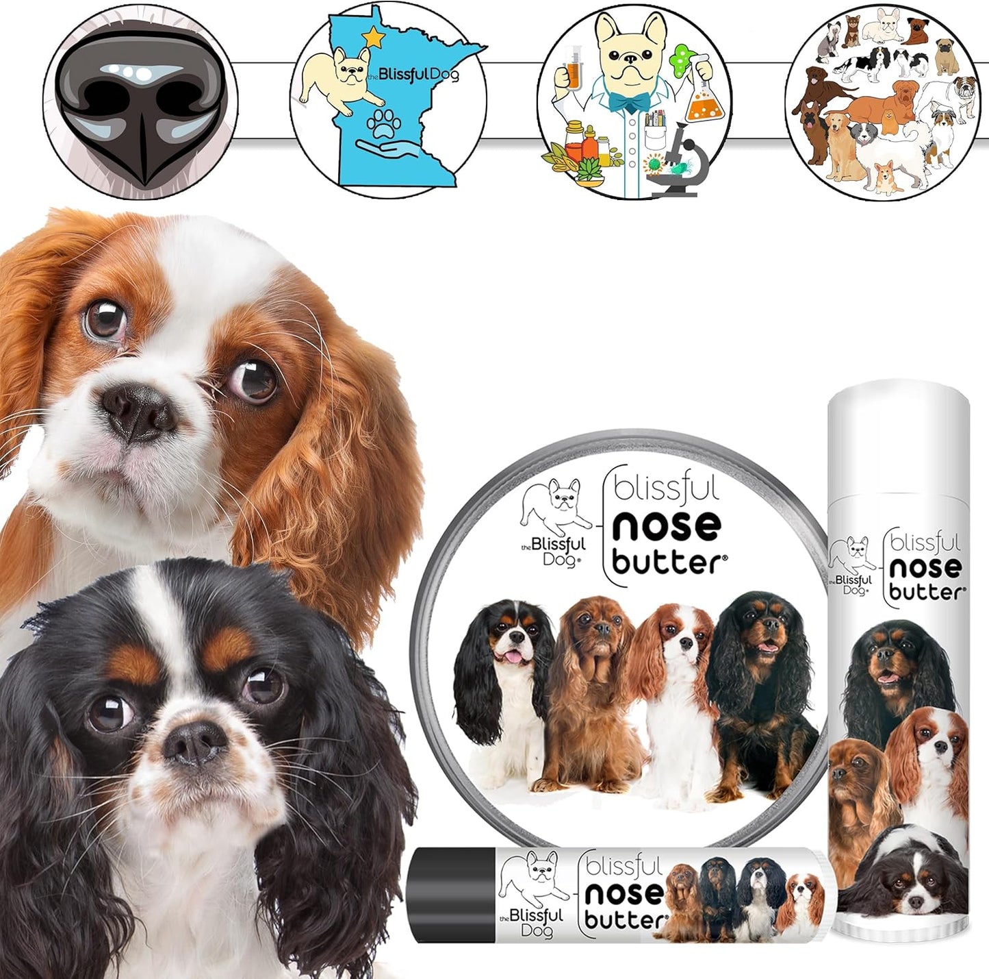 The Blissful Dog Cavalier King Charles Spaniel Unscented Nose Butter - Dog Nose Butter, 4 Ounce - Pet Explorer